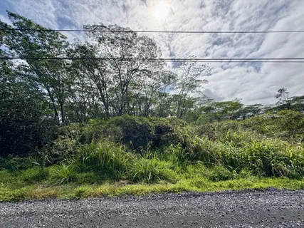 a view of a field with plants and trees