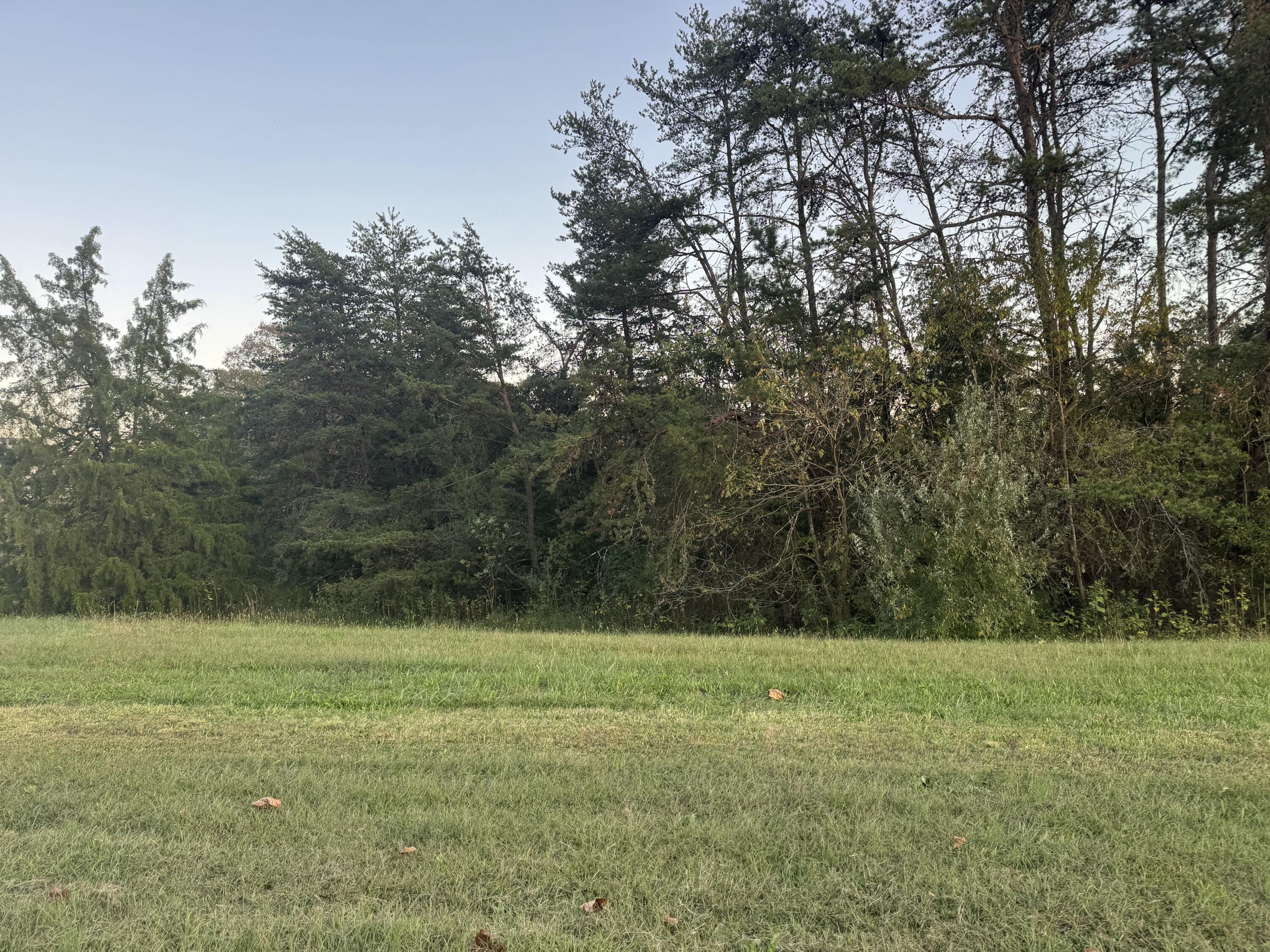 Lot 26 Nyle Ridge Road Wirtz, VA 24184 - Photo 6 of 8 a view of a green field