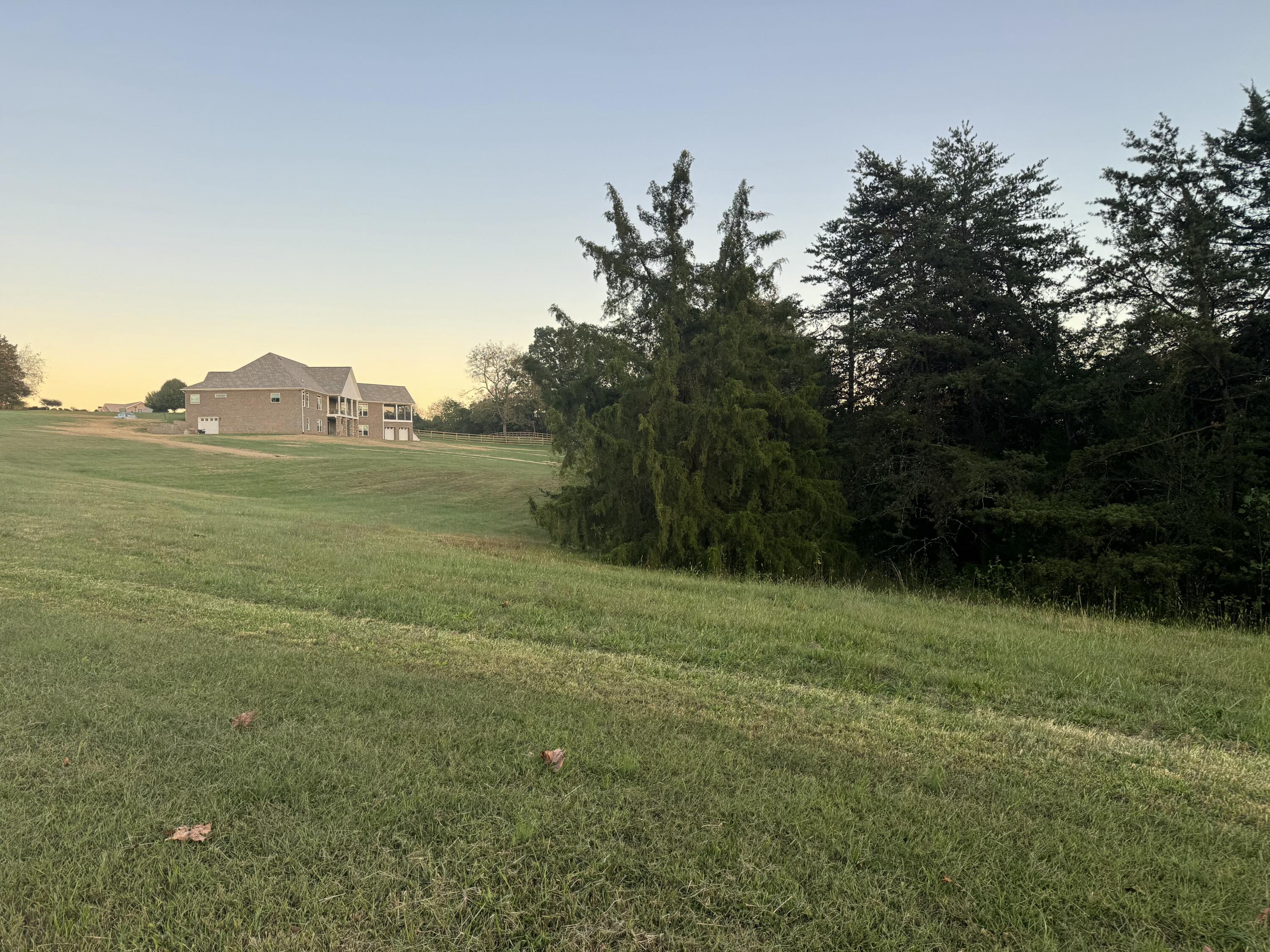 Lot 26 Nyle Ridge Road Wirtz, VA 24184 - Photo 7 of 8 a view of a field with a tree