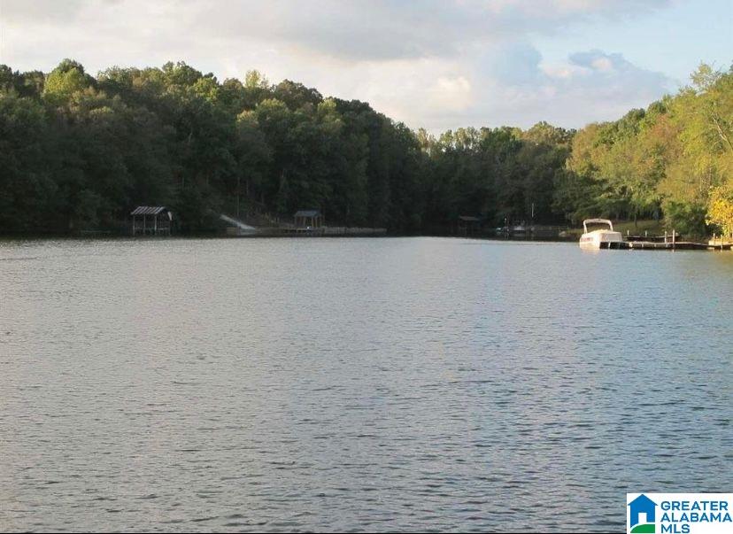 2844 County Road 256 Wedowee, AL 36278 - Photo 45 of 50