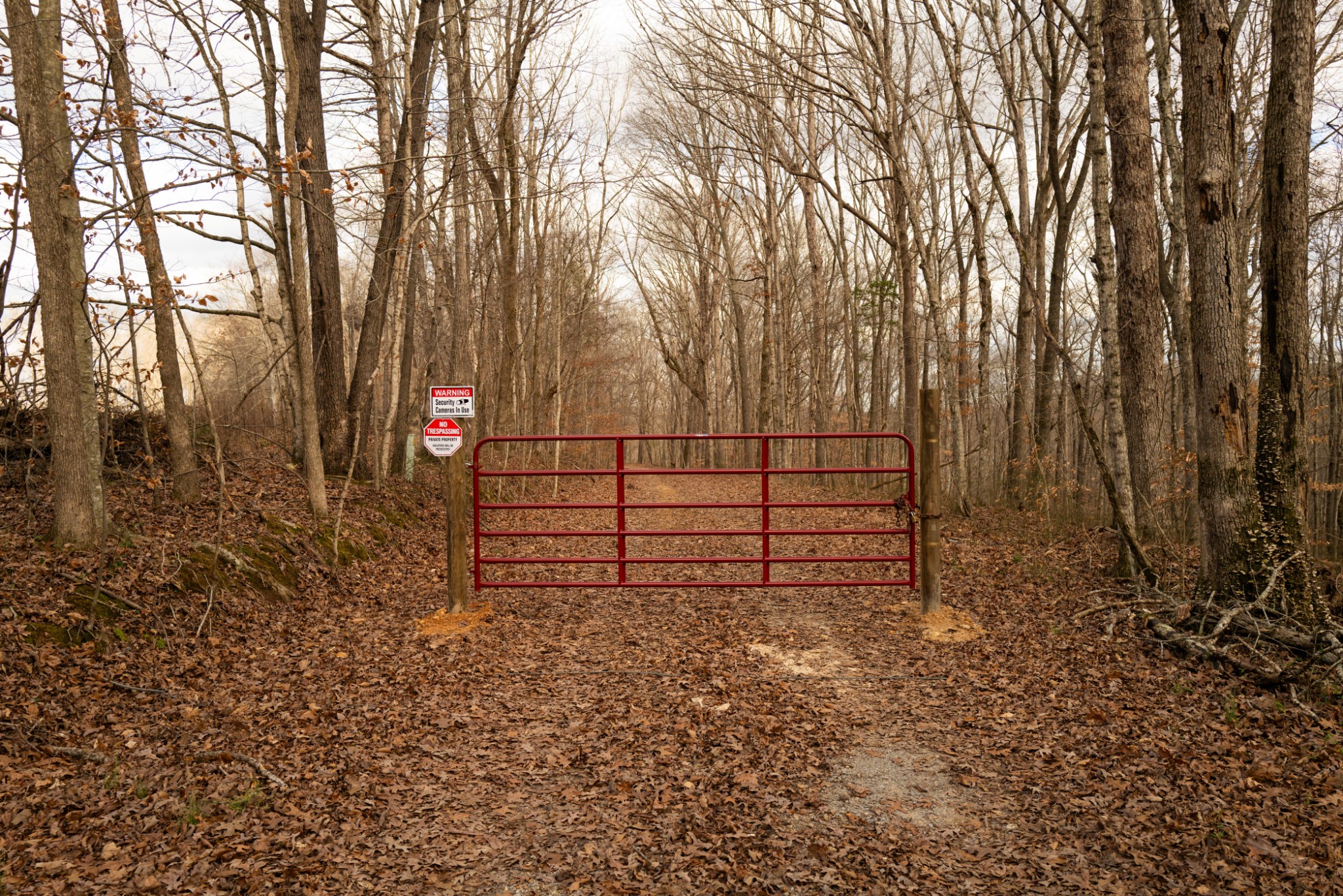 199 Spain Road Charlotte, TN 37036 - Photo 3 of 12 a view of outdoor space with wooden fence