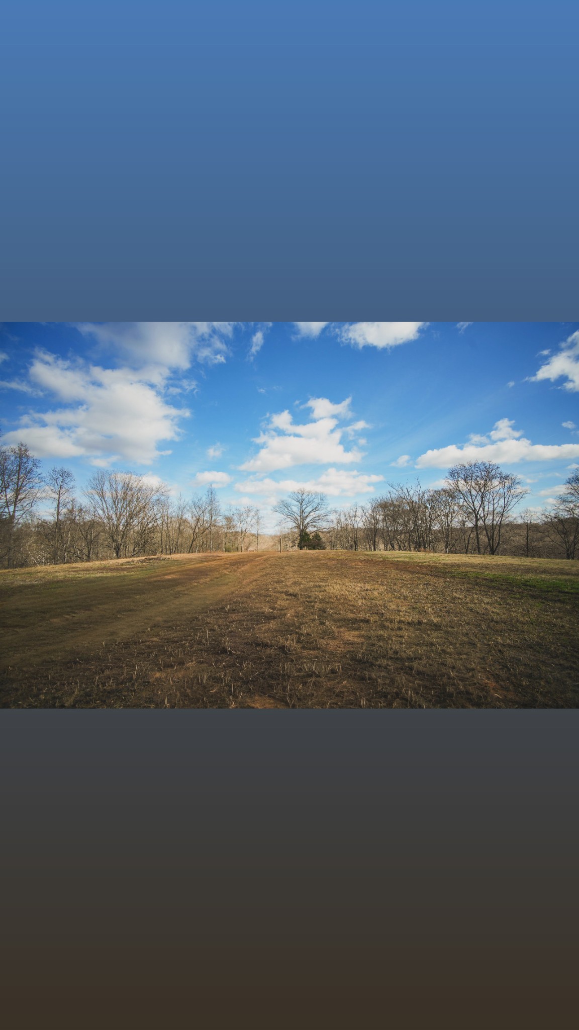 199 Spain Road Charlotte, TN 37036 - Photo 8 of 12 a view of an ocean