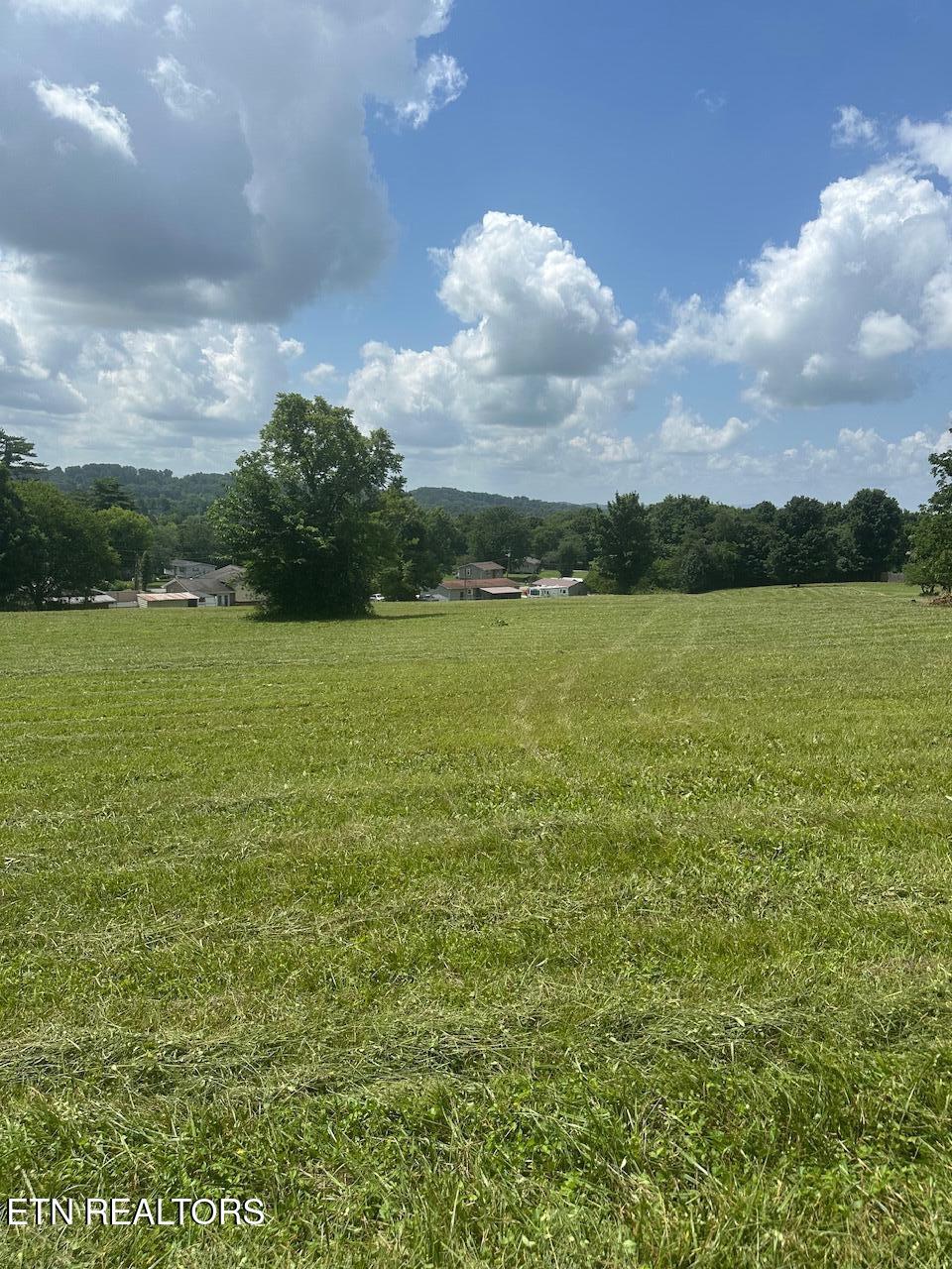 1035 Green Road Madisonville, TN 37354 - Photo 34 of 46 IMG_1208