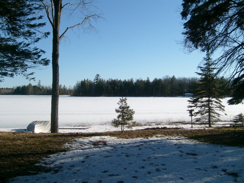 3560 Phelps Road Northeast Kalkaska, MI 49646 - Photo 86 of 89 1858386-86.JPG
