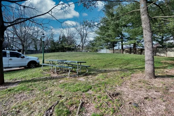 a view of a park with large trees