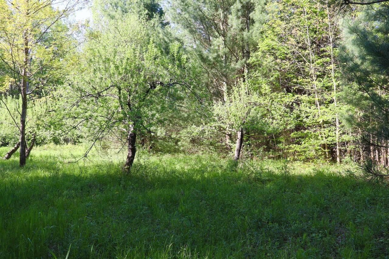 11547 1 Mile Road Leroy, MI 49655 - Photo 57 of 73 46_