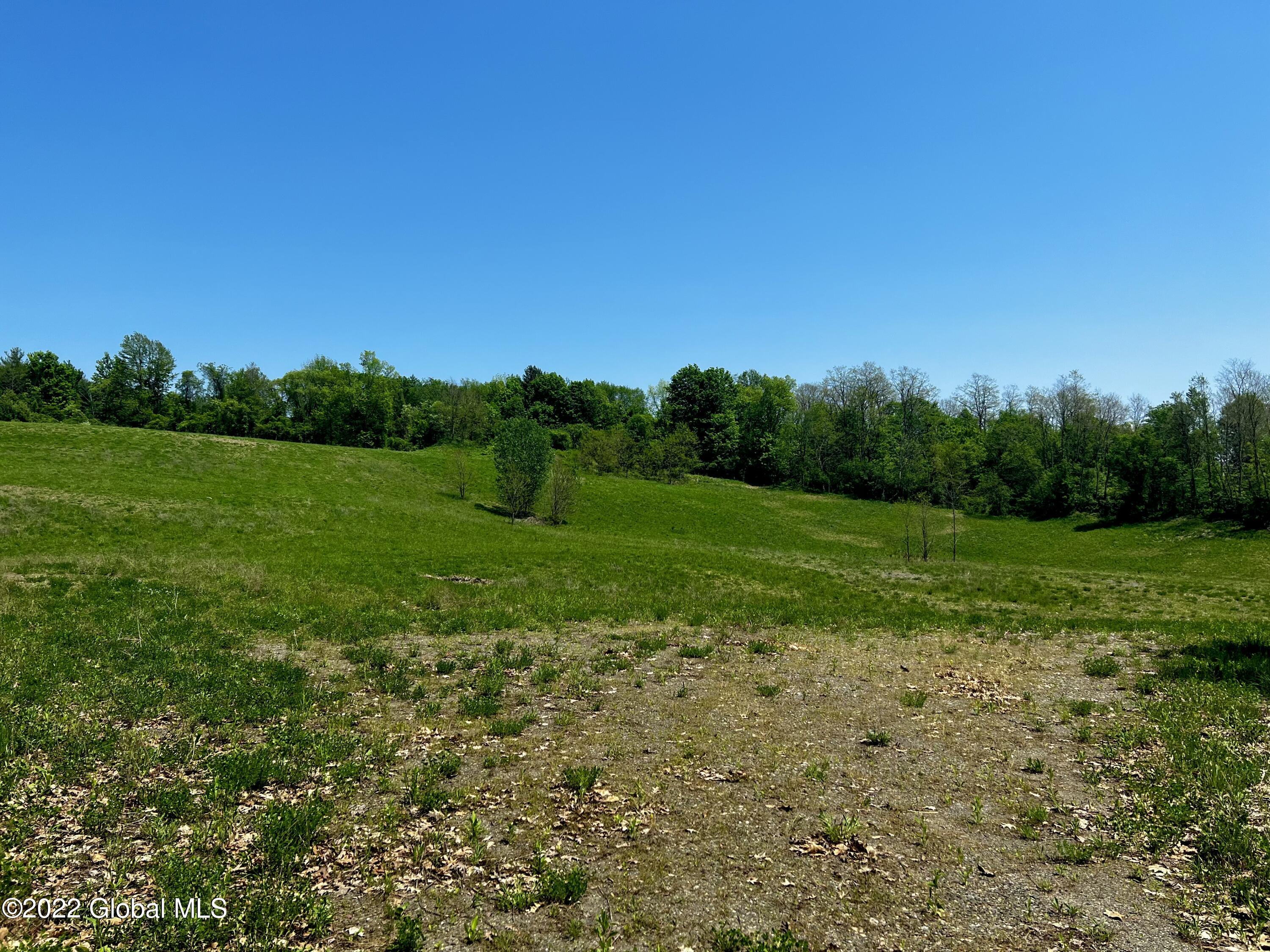 0 Krouner Road Nassau, NY 12123 - Photo 3 of 4 3