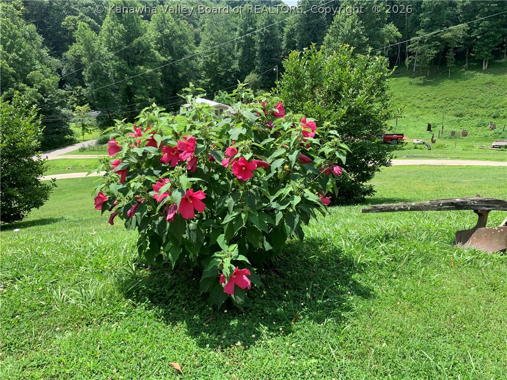 3655 Low Gap Road Danville, WV 25053 - Photo 28 of 47 Nicely Landscaped
