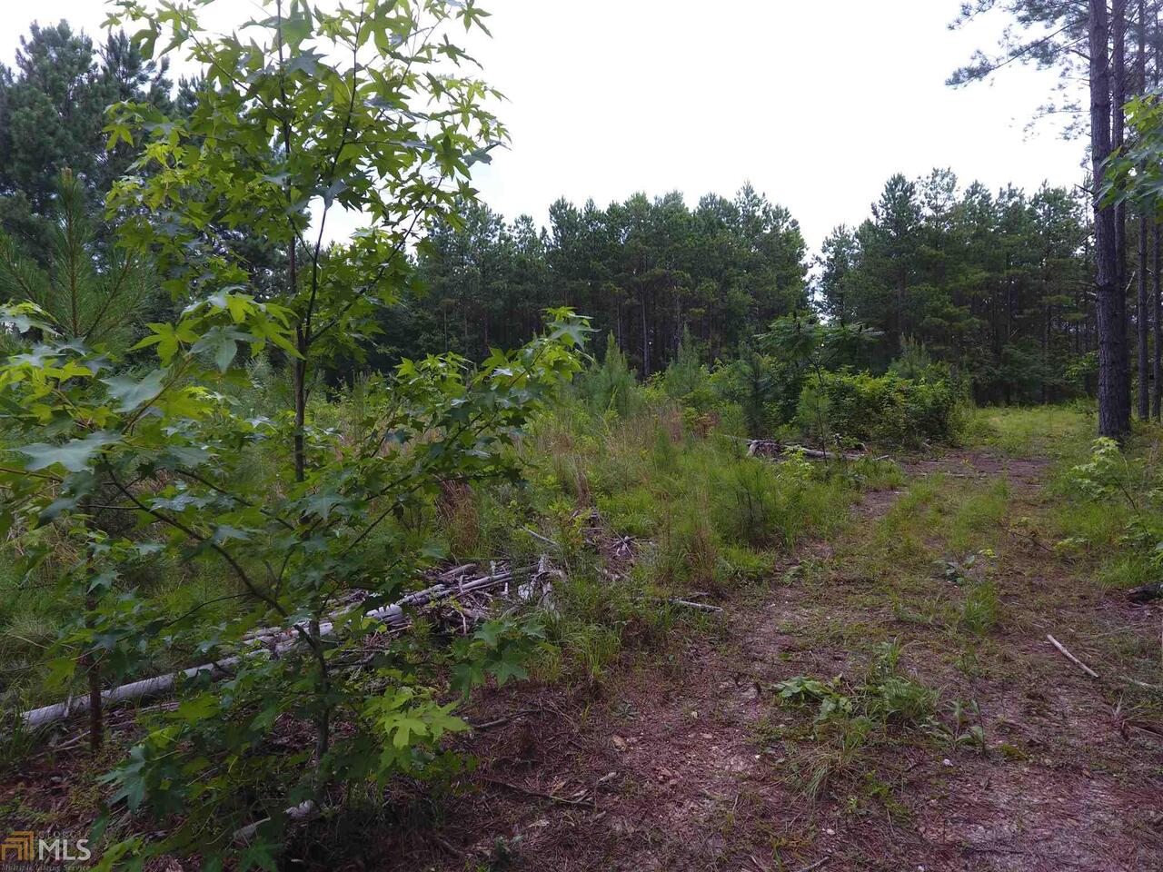 0 High Point Road, Unit 6071 Buchanan, GA 30113 - Photo 1 of 1