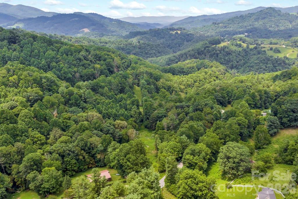 Tbd Bethel Road Sugar Grove, NC 28679 - Photo 16 of 19 Gallery Image 16
