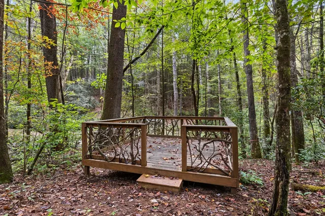 a view of a pathway both side of yard