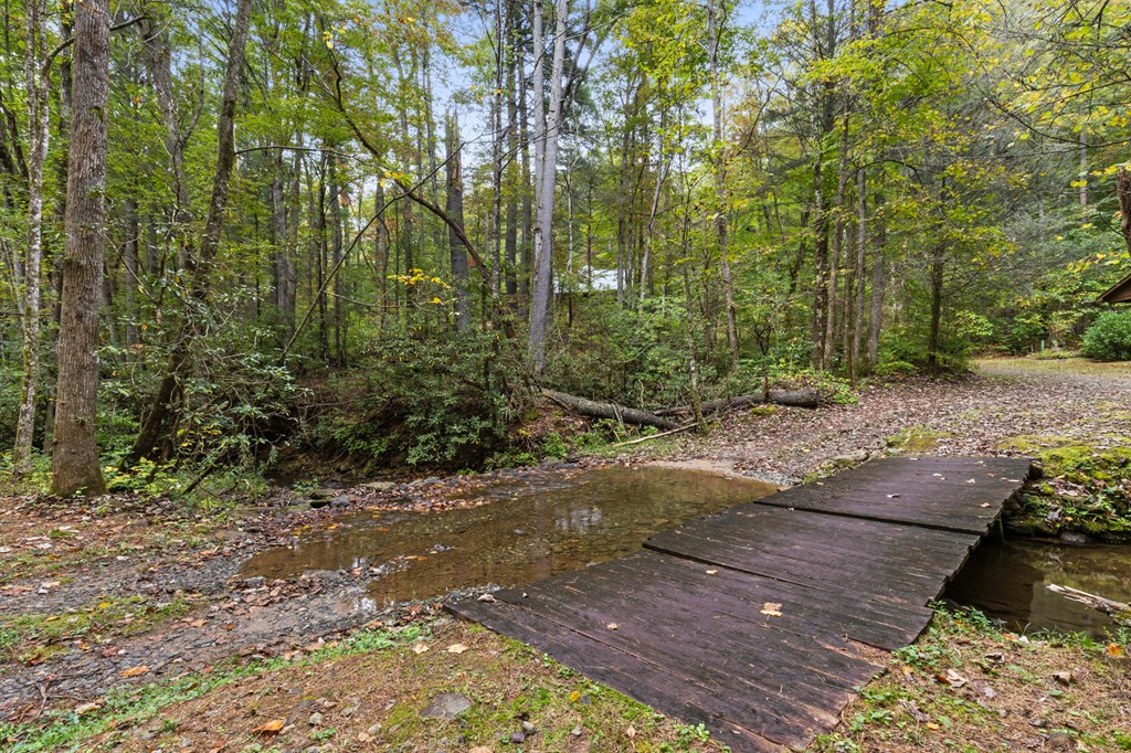 540 Old Mill Road Suches, GA 30572 - Photo 37 of 51 a view of a pathway both side of yard