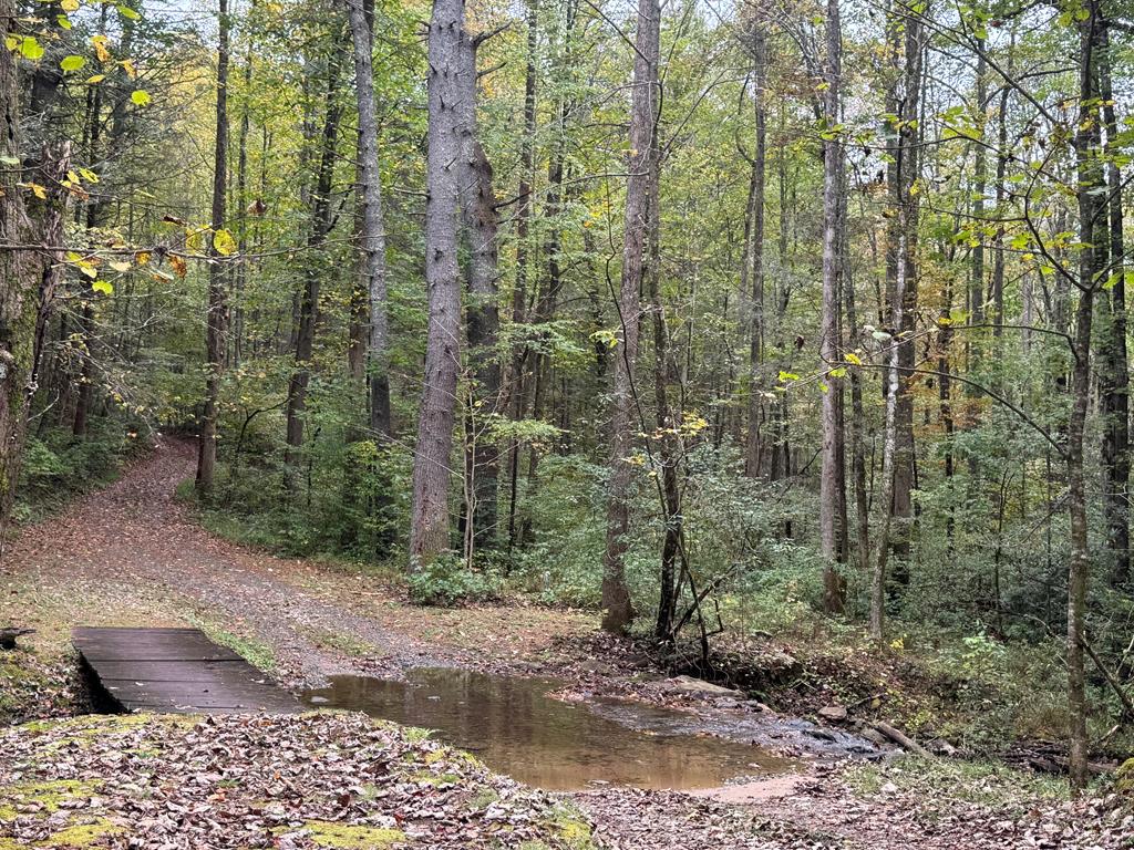540 Old Mill Road Suches, GA 30572 - Photo 51 of 51 a view of a garden with trees