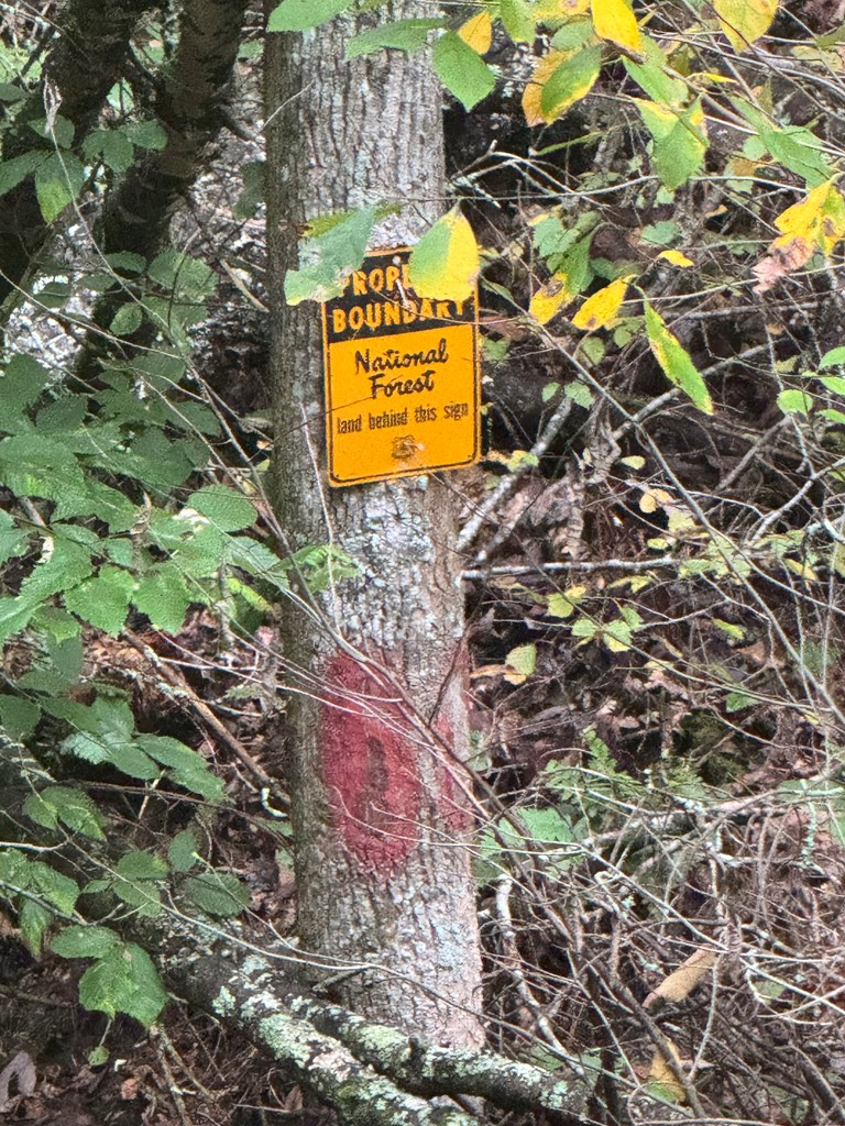 540 Old Mill Road Suches, GA 30572 - Photo 6 of 51 a sign that is on a tree