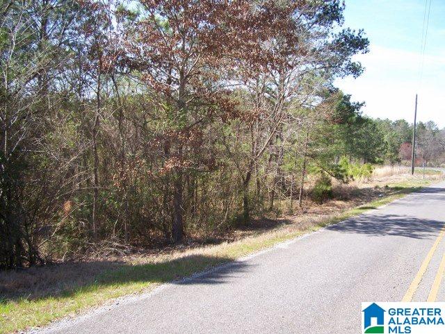 0 Mitchellville Road, Unit ACREAGE Lincoln, AL 35096 - Photo 2 of 19