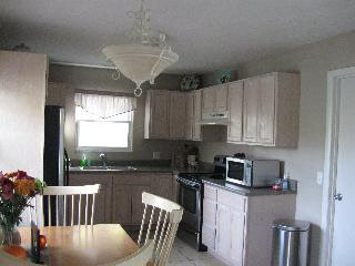 62 West Sub Station Road Temperance, MI 48182 - Photo 9 of 14 Kitchen