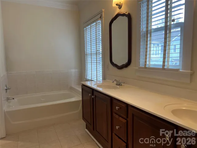 a bathroom with a double vanity sink and a bathtub