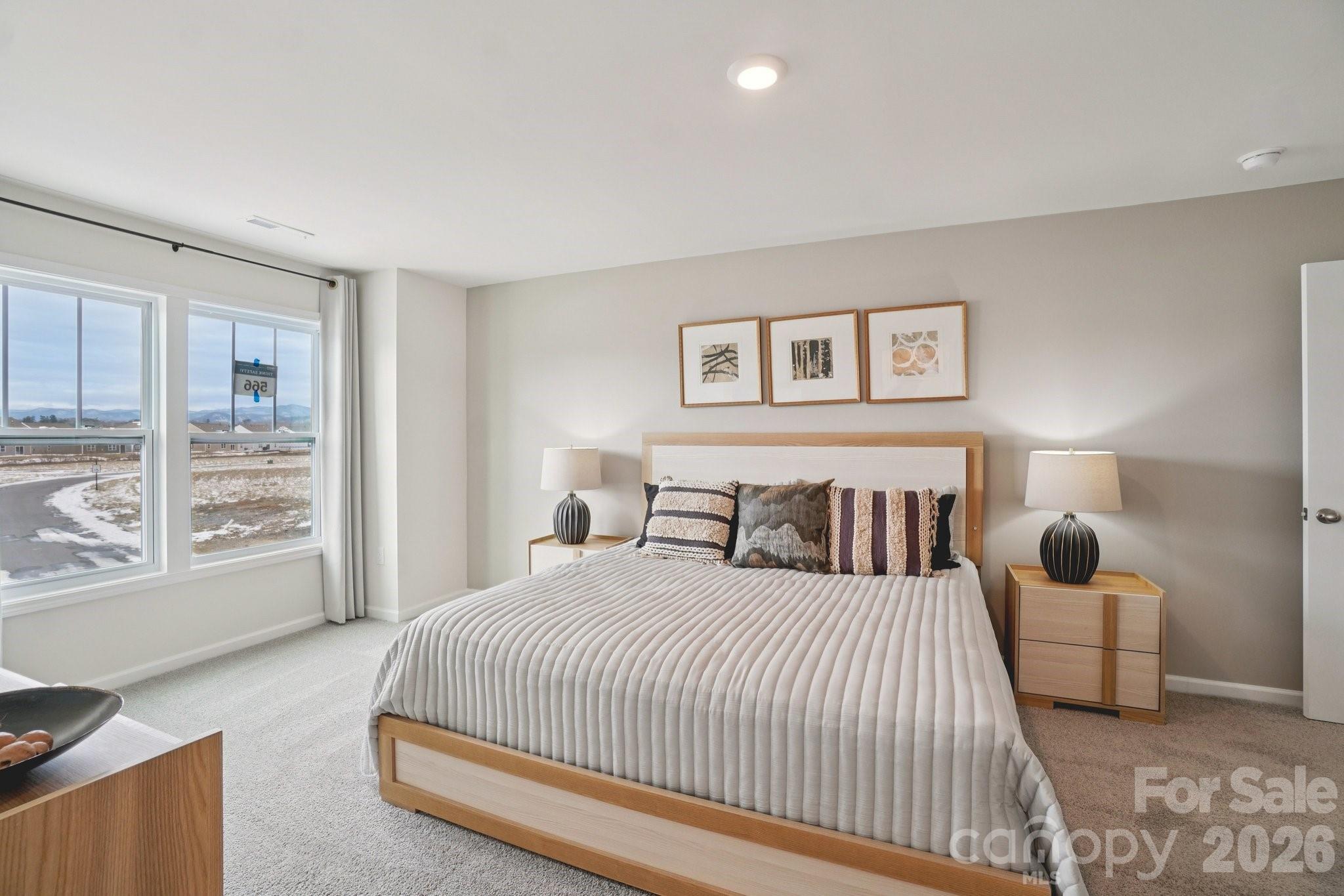 376 Creekview Road Hendersonville, NC 28792 - Photo 24 of 28