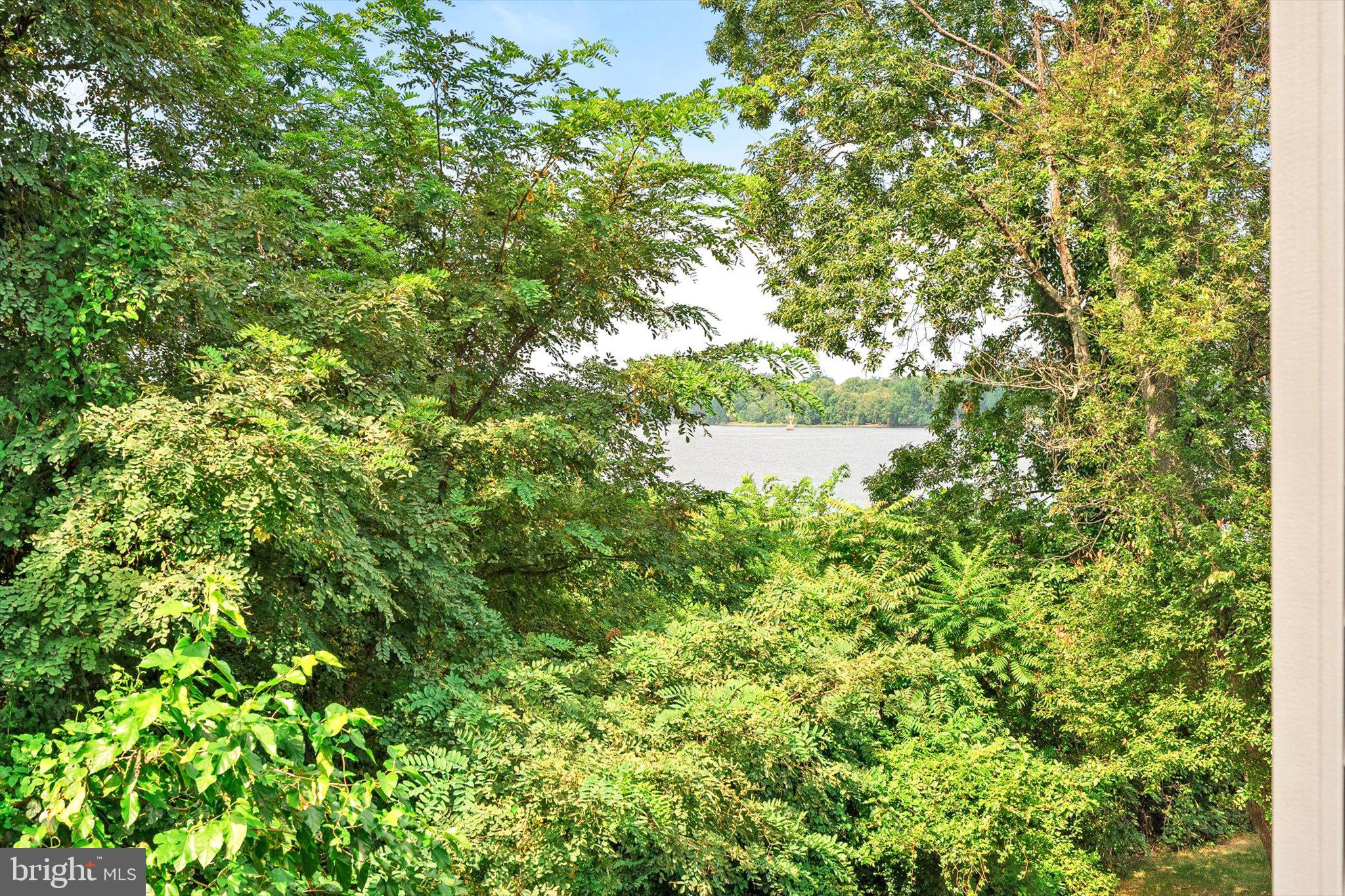 44 River Lane Delanco, NJ 08075 - Photo 24 of 26