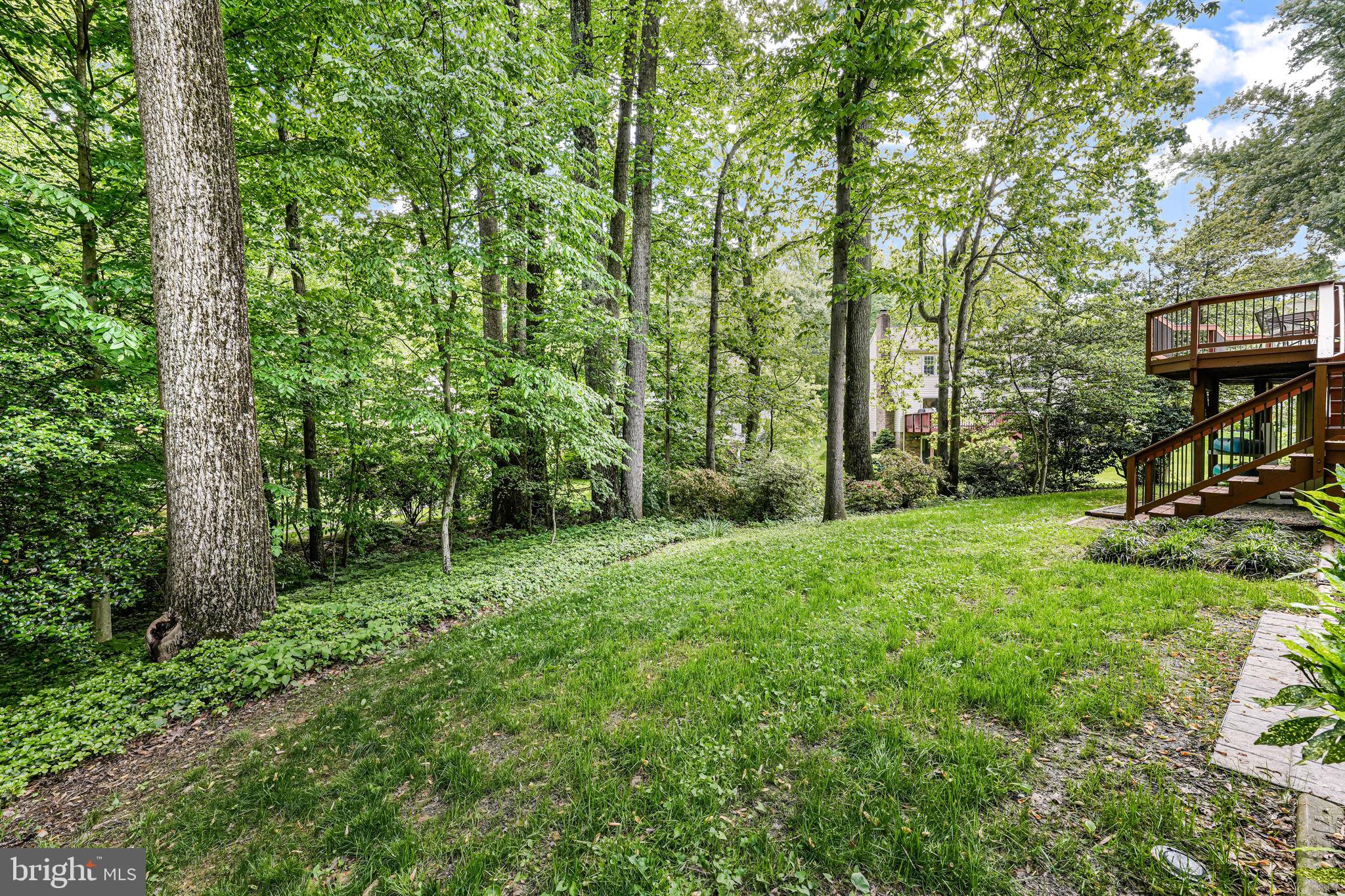 9802 Natick Road Burke, VA 22015 - Photo 41 of 45 a view of a backyard with plants and trees