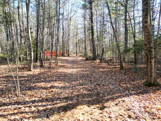 $8,000 | Lot 7 James Way, Lincoln, ME 04457