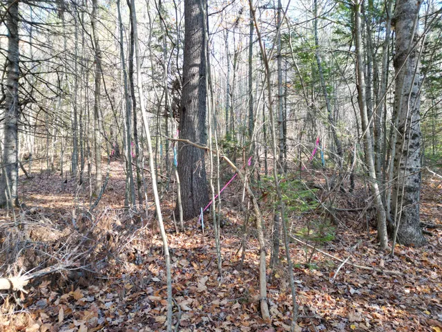 $8,000 | Lot 7 James Way, Lincoln, ME 04457