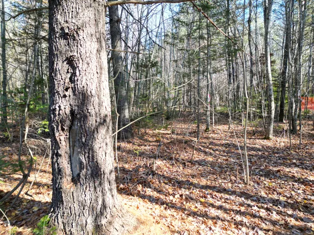 $8,000 | Lot 7 James Way, Lincoln, ME 04457
