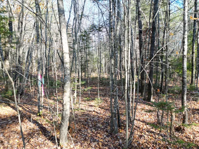 $8,000 | Lot 7 James Way, Lincoln, ME 04457