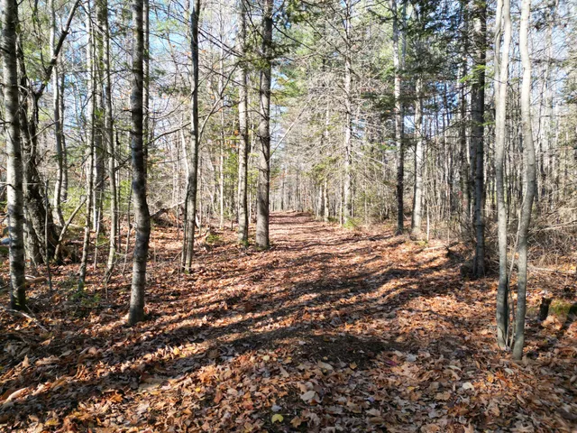 $8,000 | Lot 7 James Way, Lincoln, ME 04457
