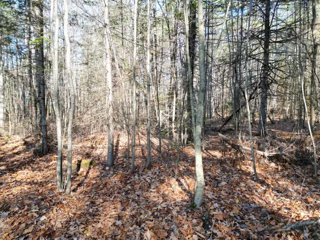 $8,000 | Lot 7 James Way, Lincoln, ME 04457