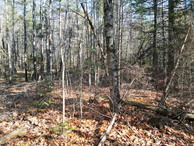 $8,000 | Lot 7 James Way, Lincoln, ME 04457