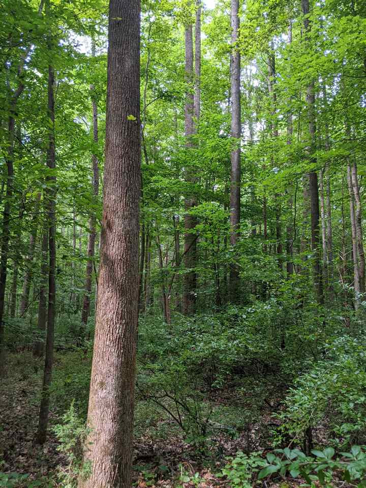 East Perry Road Pittsboro, NC 27312 - Photo 9 of 15 Photo 9
