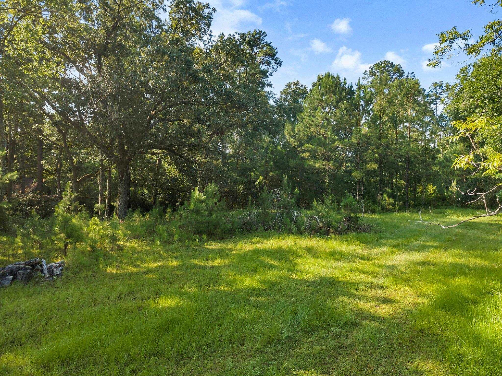 392 Woodward Road Quincy, FL 32352 - Photo 3 of 5 Gallery Image 3