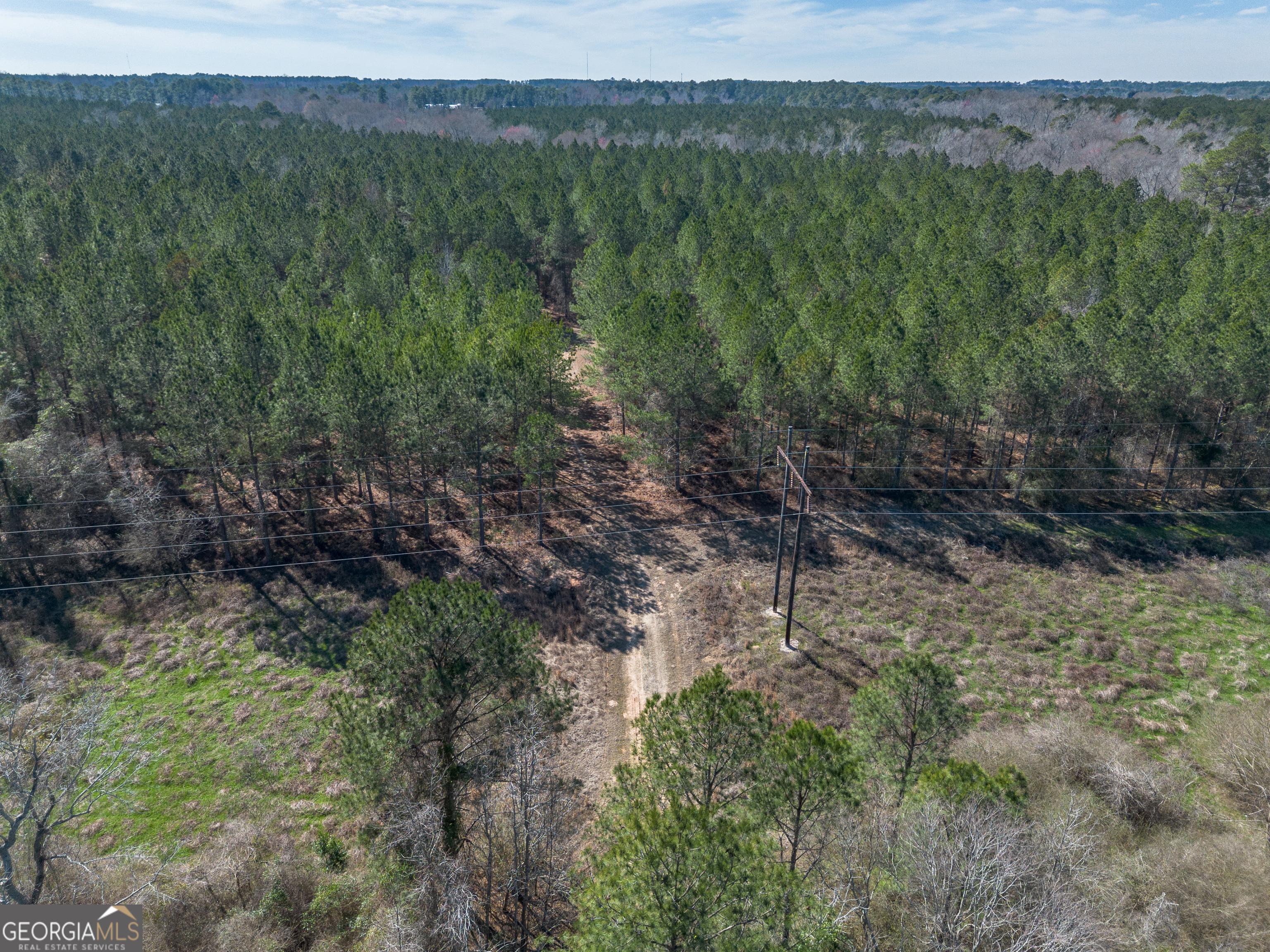 Lot 7 Golf Course Road Eastman, GA 31023 - Photo 11 of 47 a view of a yard with a tree