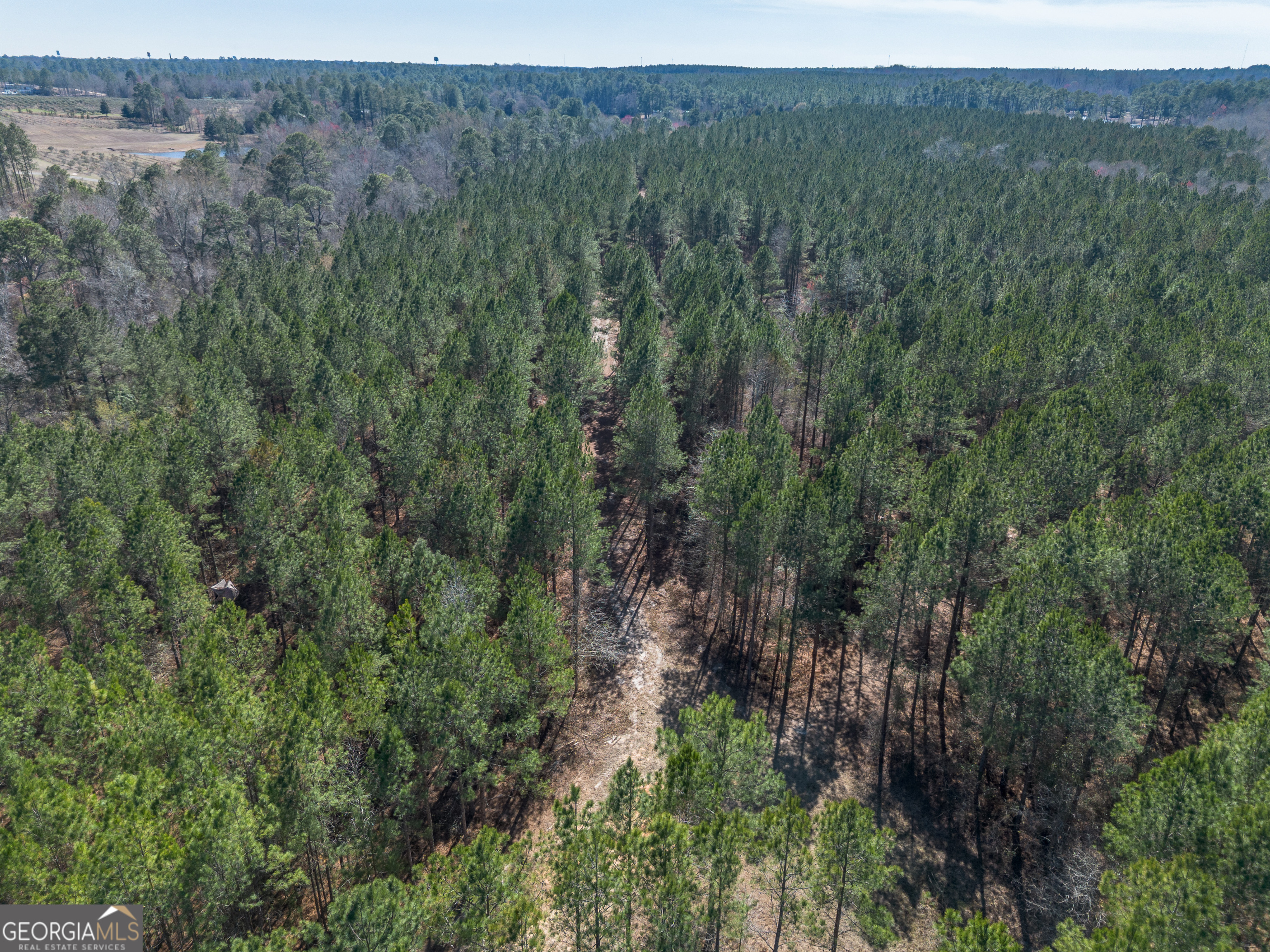 Lot 7 Golf Course Road Eastman, GA 31023 - Photo 12 of 47 a view of a lush green forest with trees and some houses