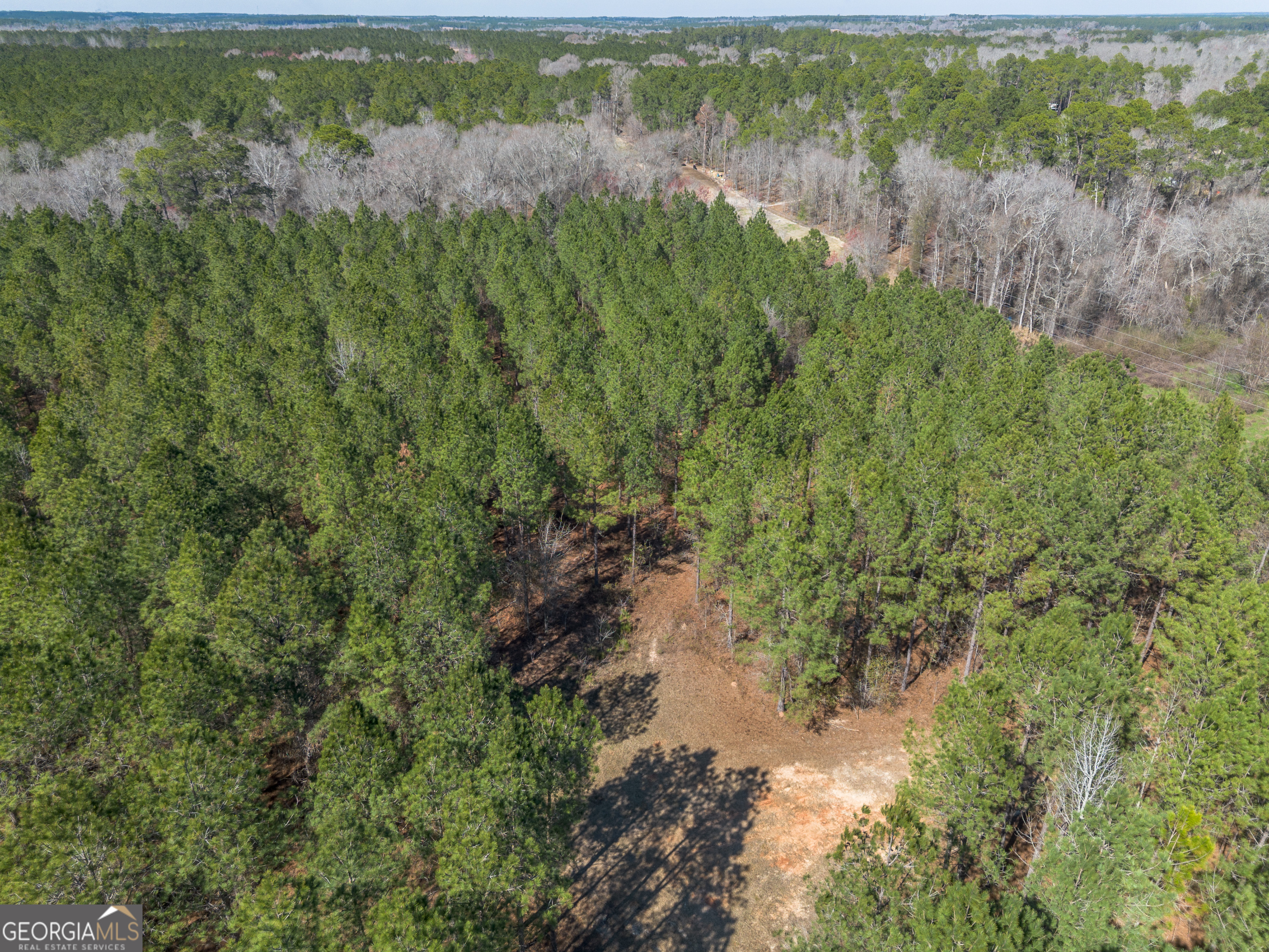 Lot 7 Golf Course Road Eastman, GA 31023 - Photo 13 of 47 a view of a lake from a forest