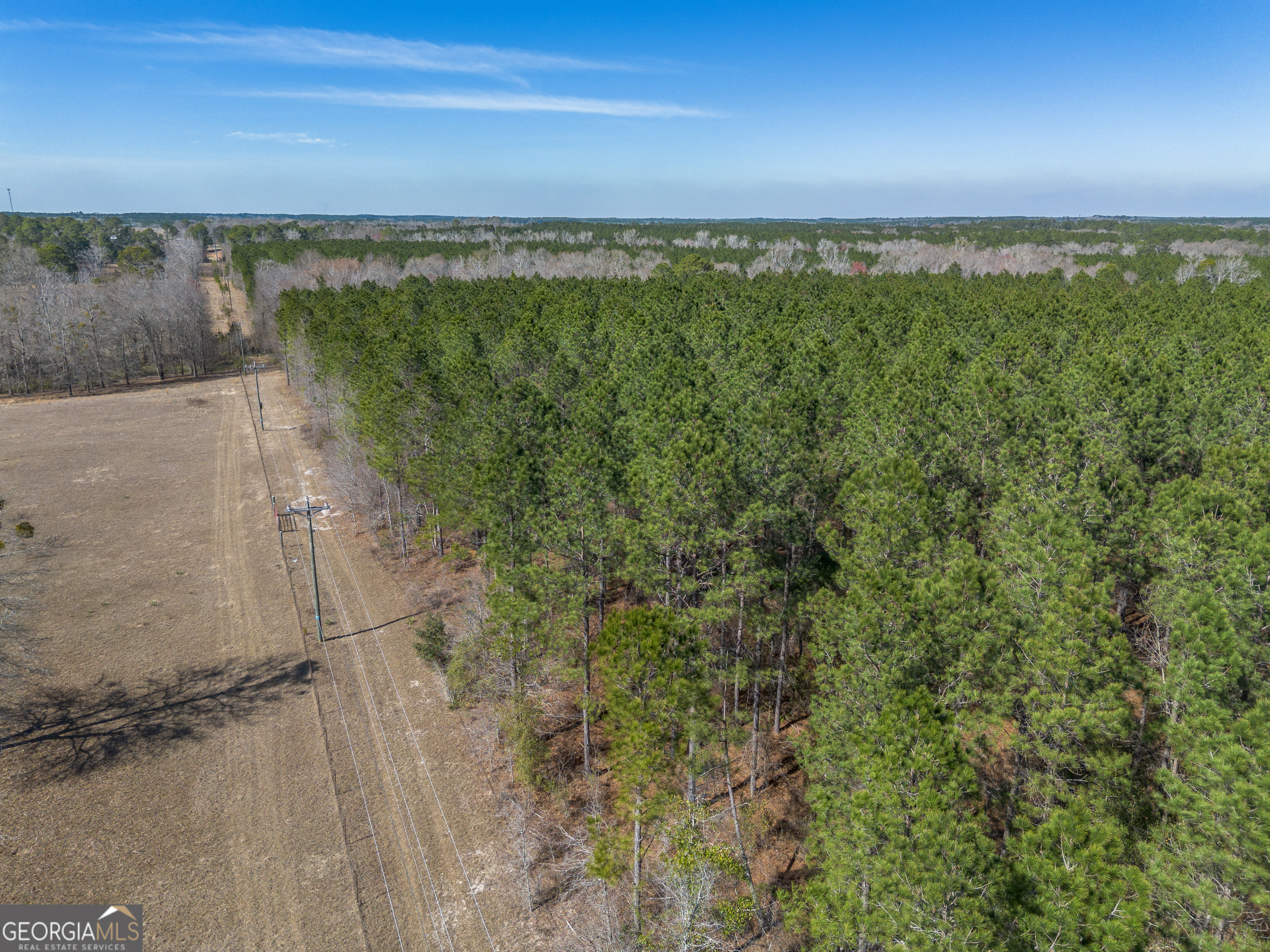 Lot 7 Golf Course Road Eastman, GA 31023 - Photo 14 of 47 a view of a lake from a yard