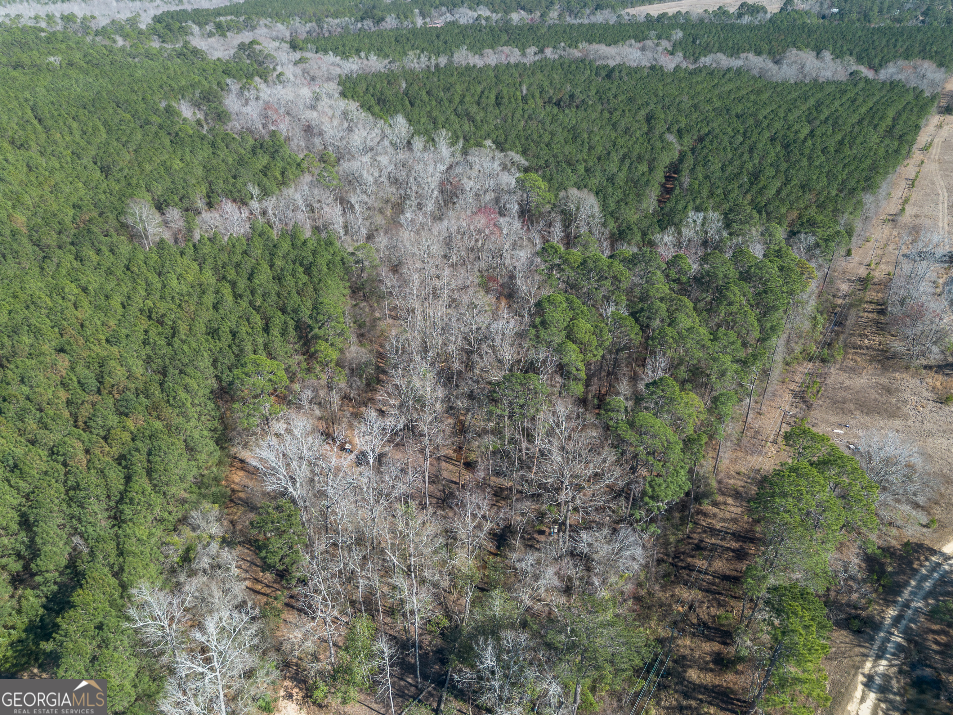 Lot 7 Golf Course Road Eastman, GA 31023 - Photo 18 of 47 a view of a lush green forest with lots of trees