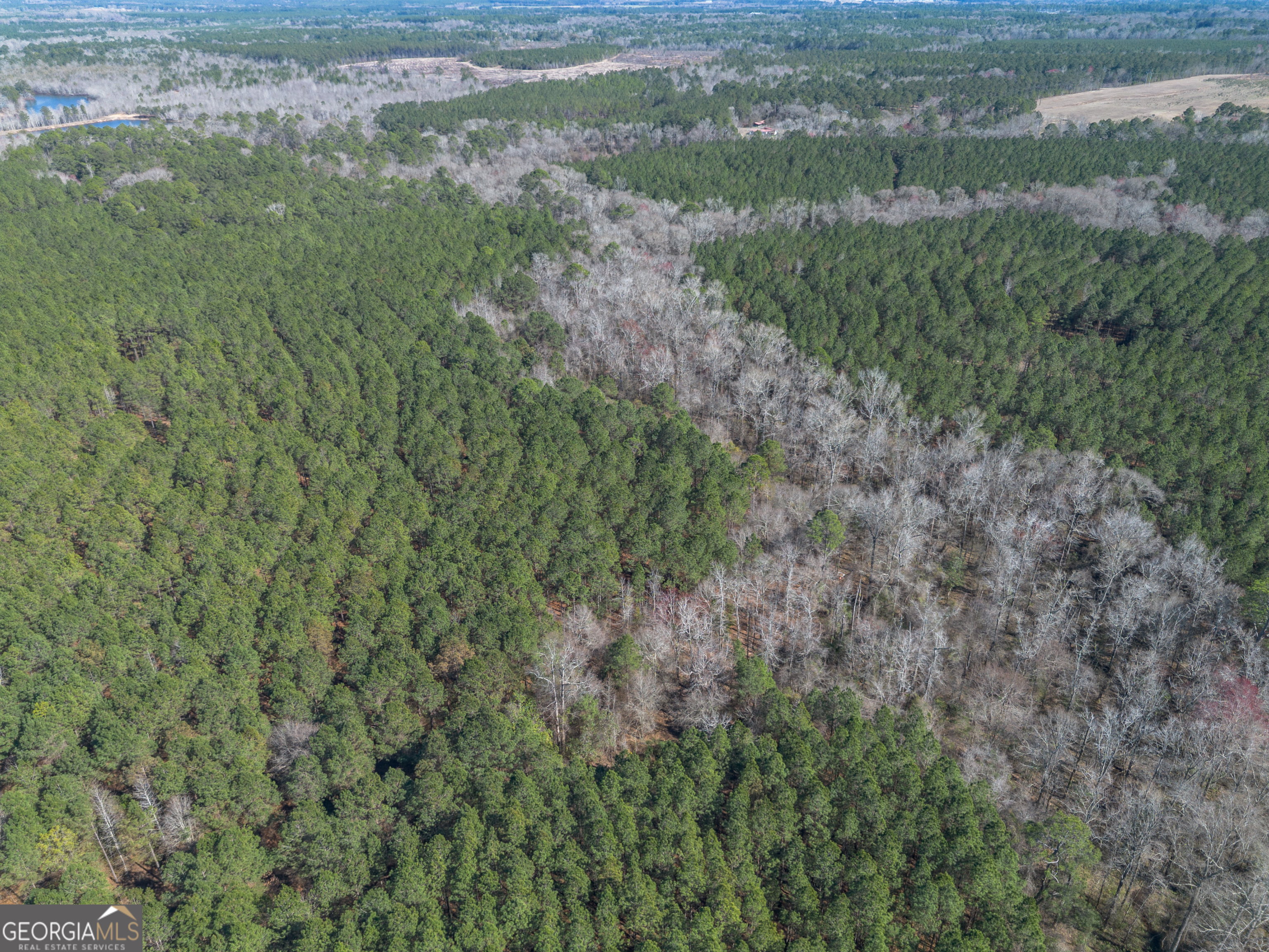 Lot 7 Golf Course Road Eastman, GA 31023 - Photo 19 of 47 a view of a field of grass and trees