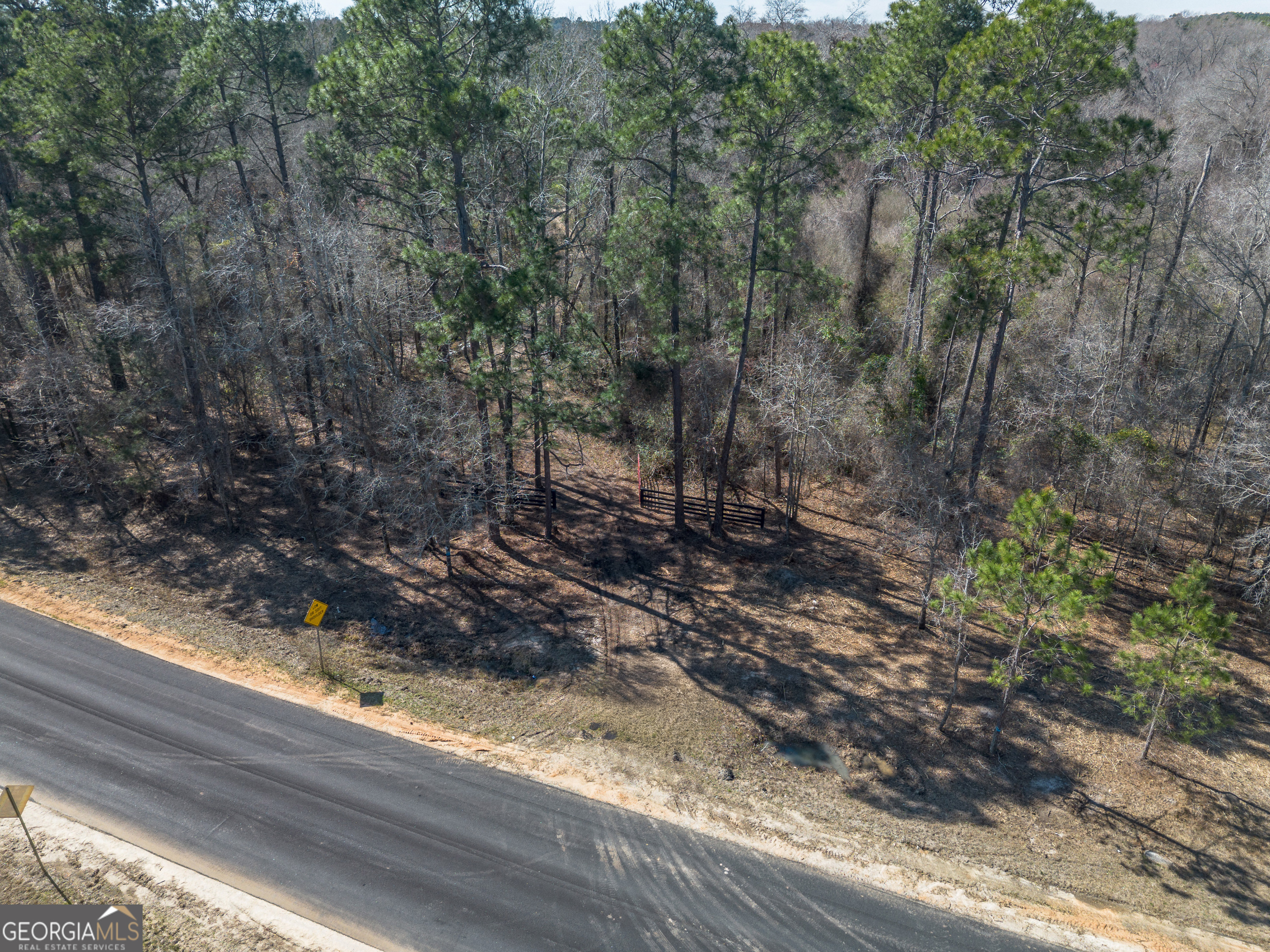 Lot 7 Golf Course Road Eastman, GA 31023 - Photo 20 of 47 a view of a forest filled with trees