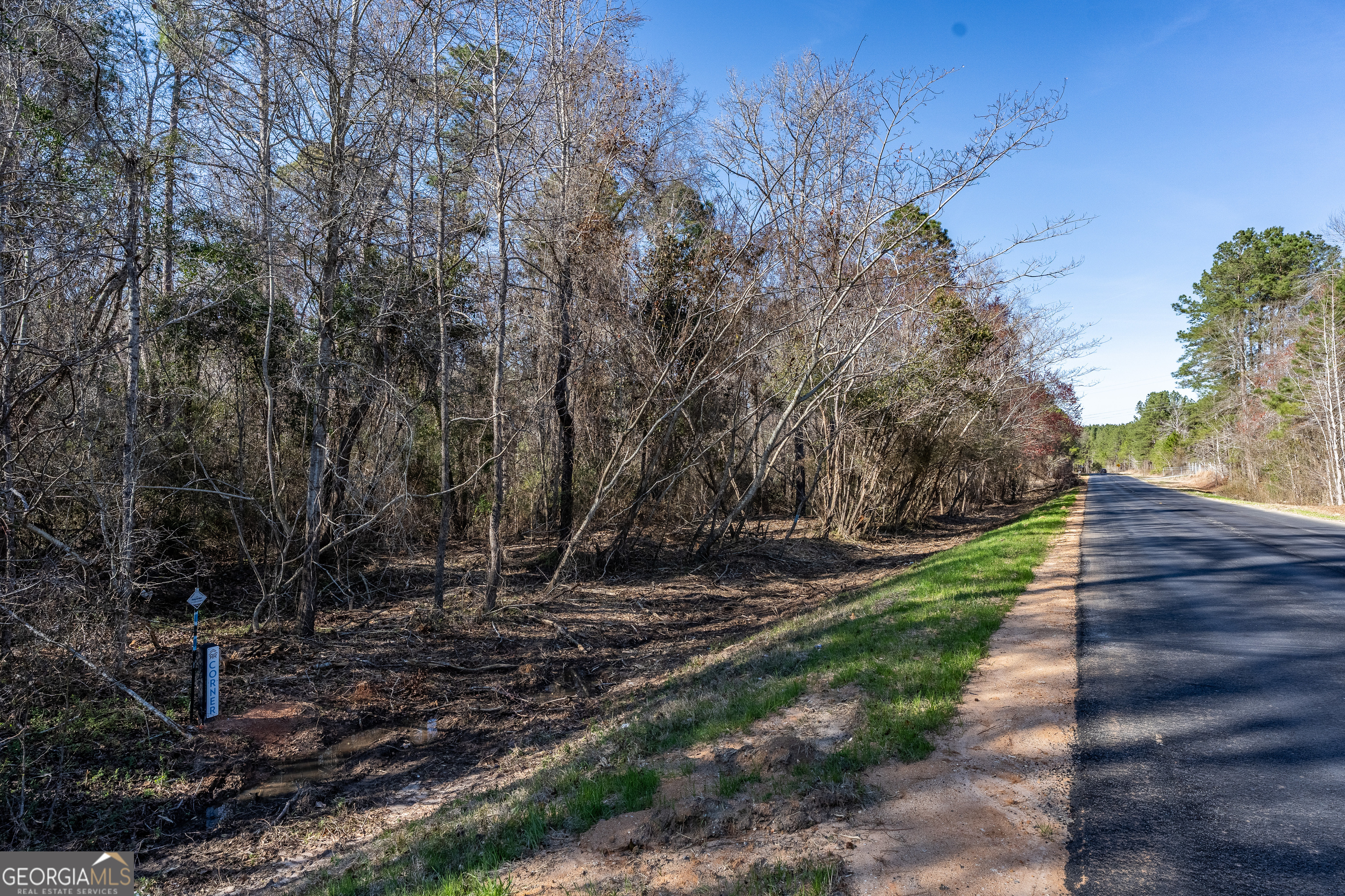 Lot 7 Golf Course Road Eastman, GA 31023 - Photo 22 of 47 a view of a yard with plants and trees