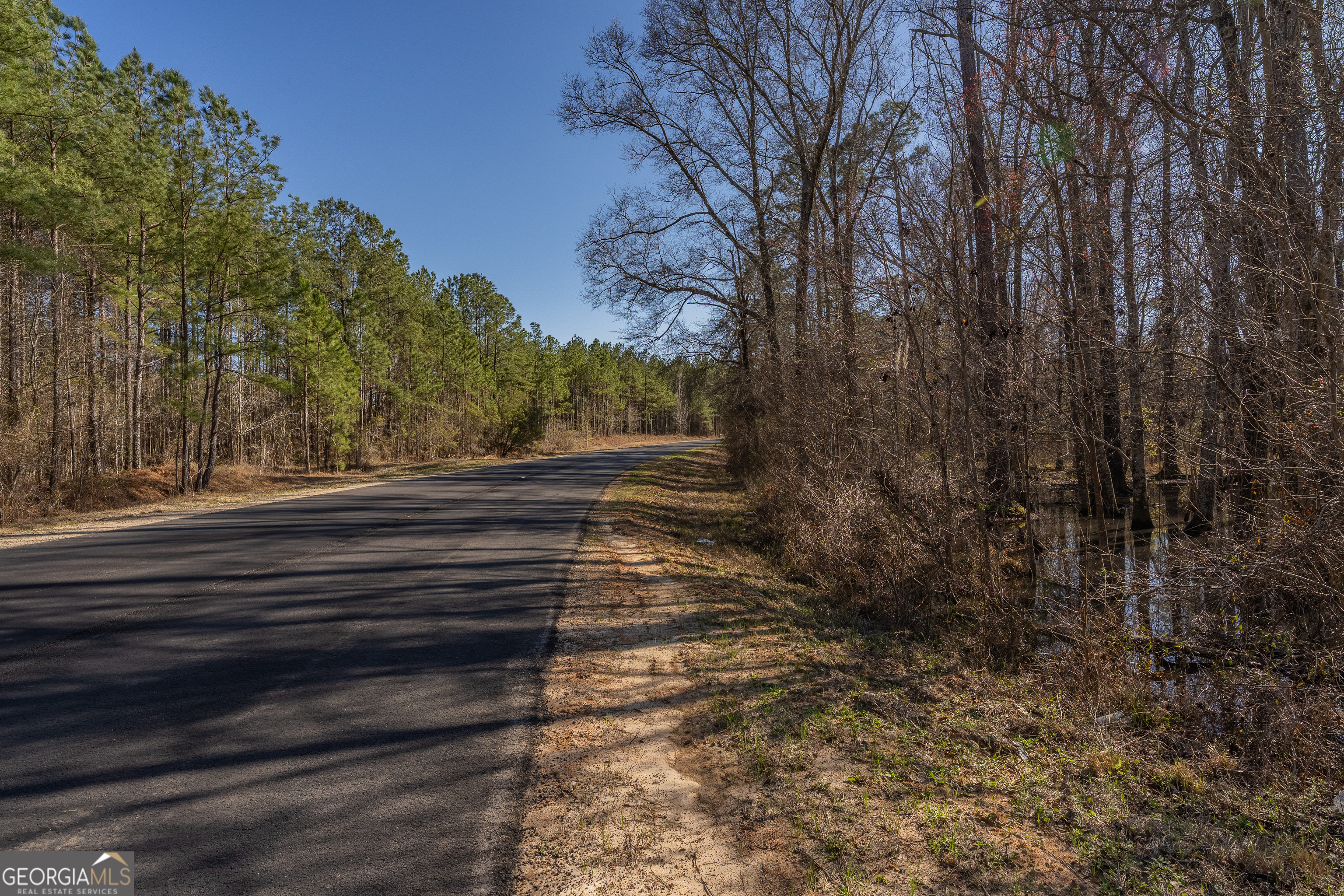 Lot 7 Golf Course Road Eastman, GA 31023 - Photo 23 of 47 a view of backyard with green space