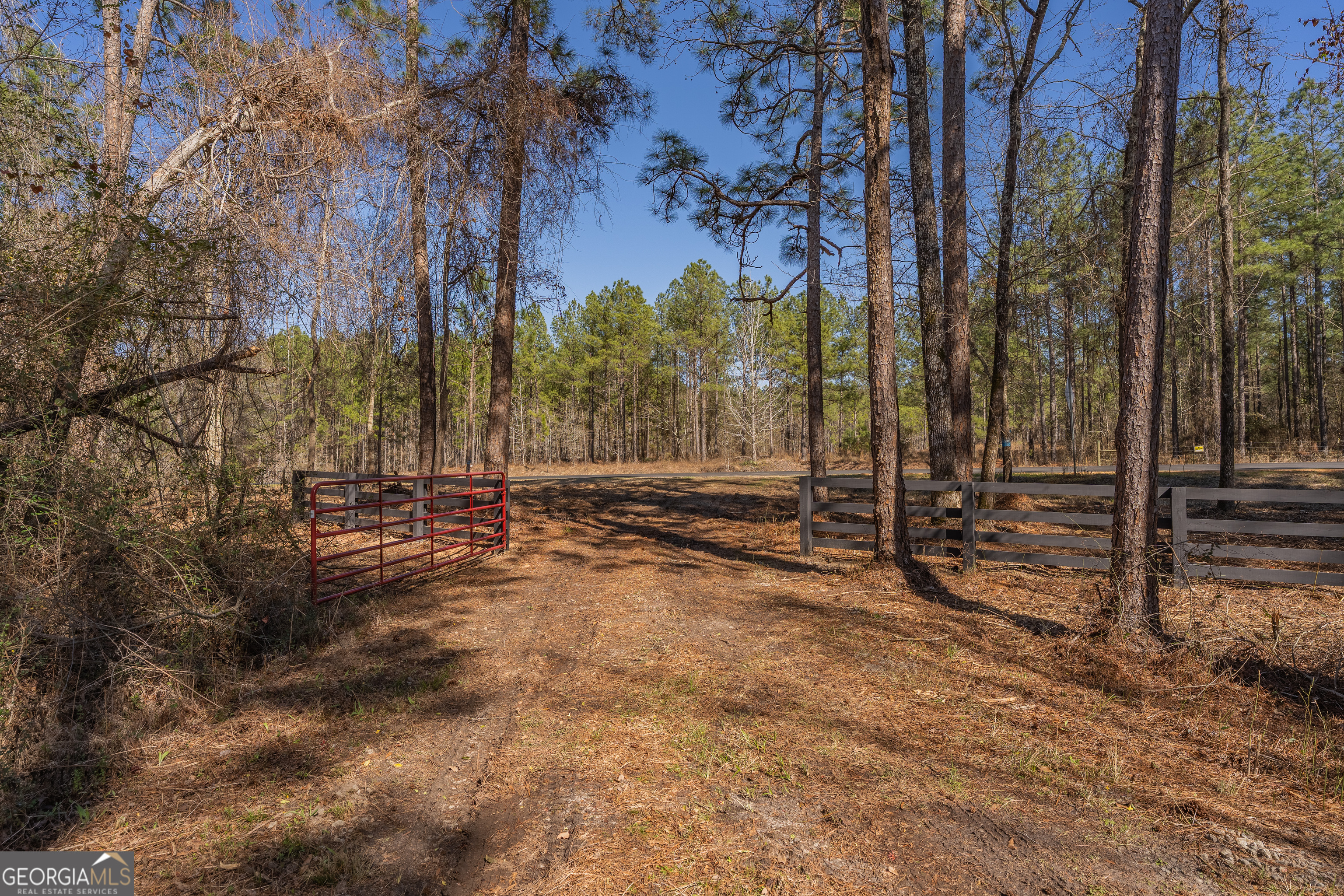 Lot 7 Golf Course Road Eastman, GA 31023 - Photo 26 of 47 a view of backyard with tree