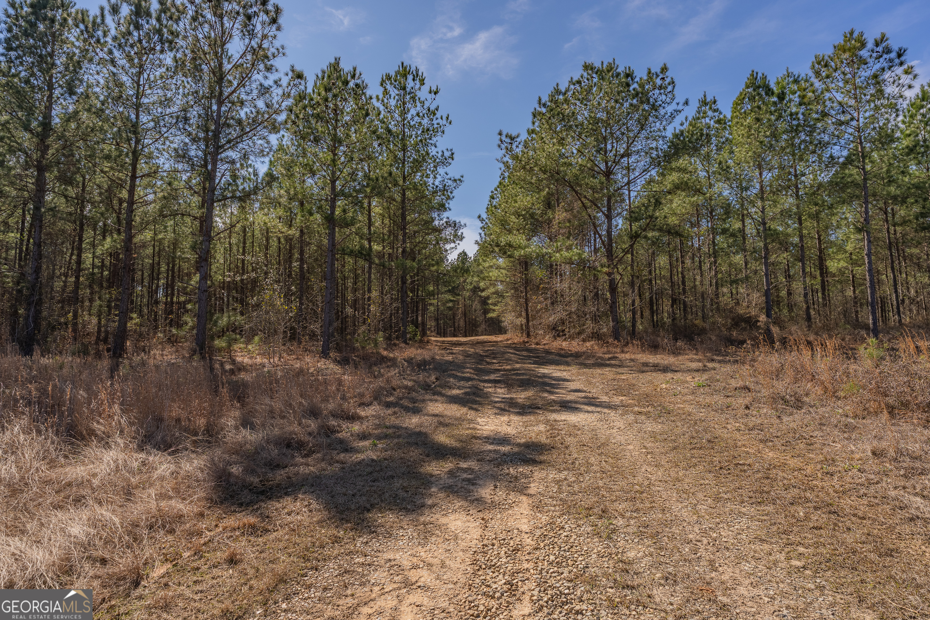 Lot 7 Golf Course Road Eastman, GA 31023 - Photo 28 of 47 a view of backyard with green space