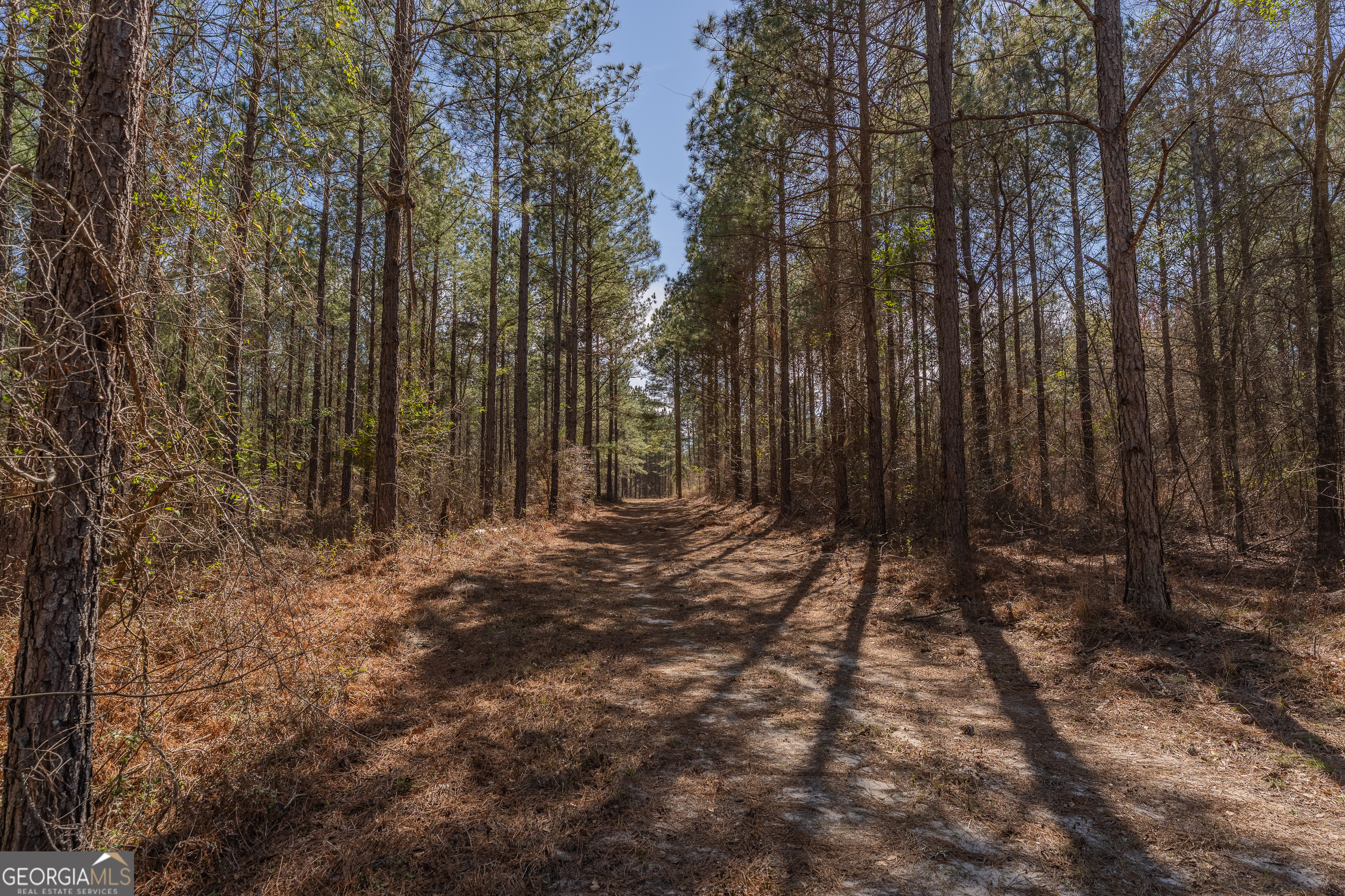 Lot 7 Golf Course Road Eastman, GA 31023 - Photo 29 of 47 a view of a yard with trees