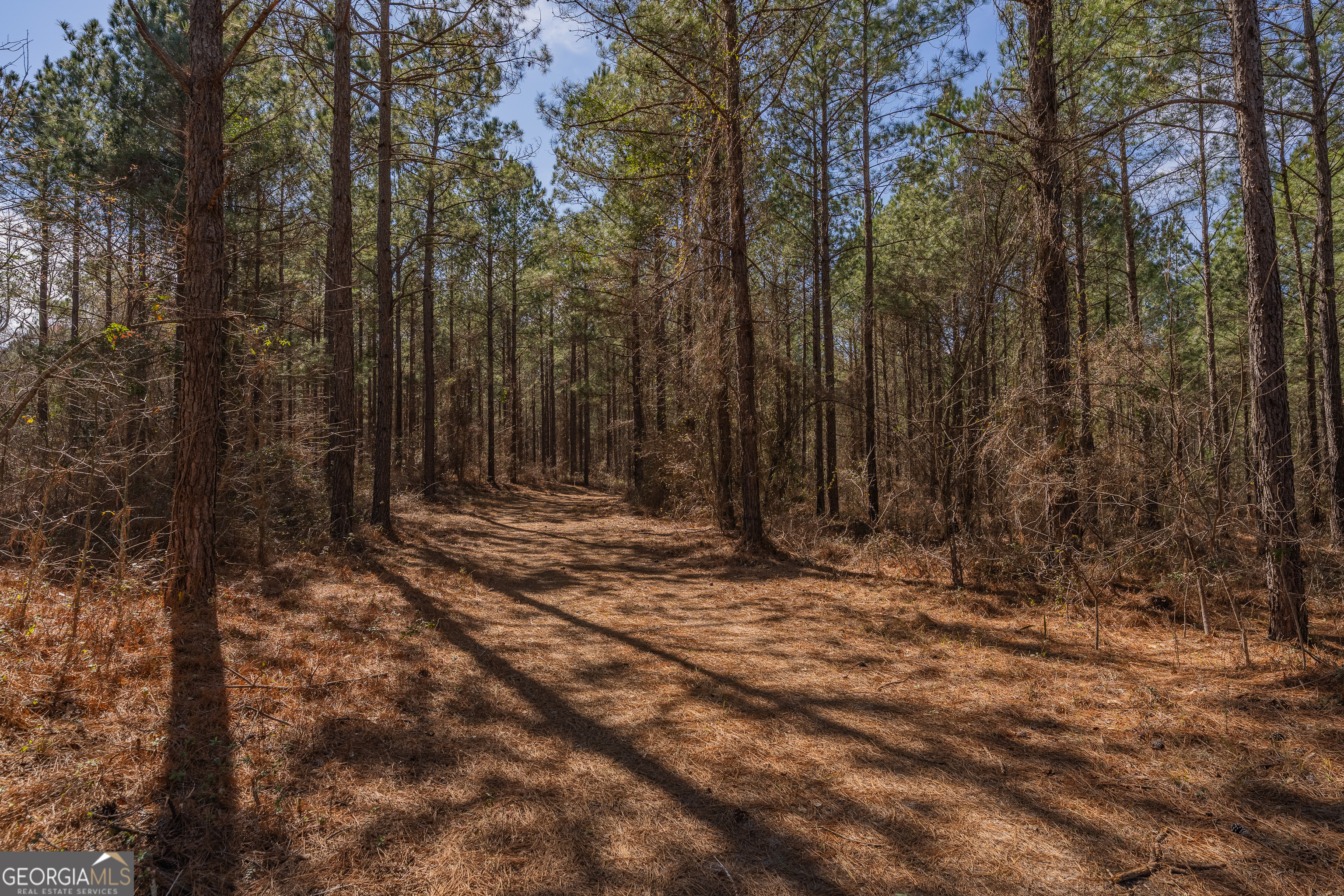 Lot 7 Golf Course Road Eastman, GA 31023 - Photo 30 of 47 a view of wooden fence