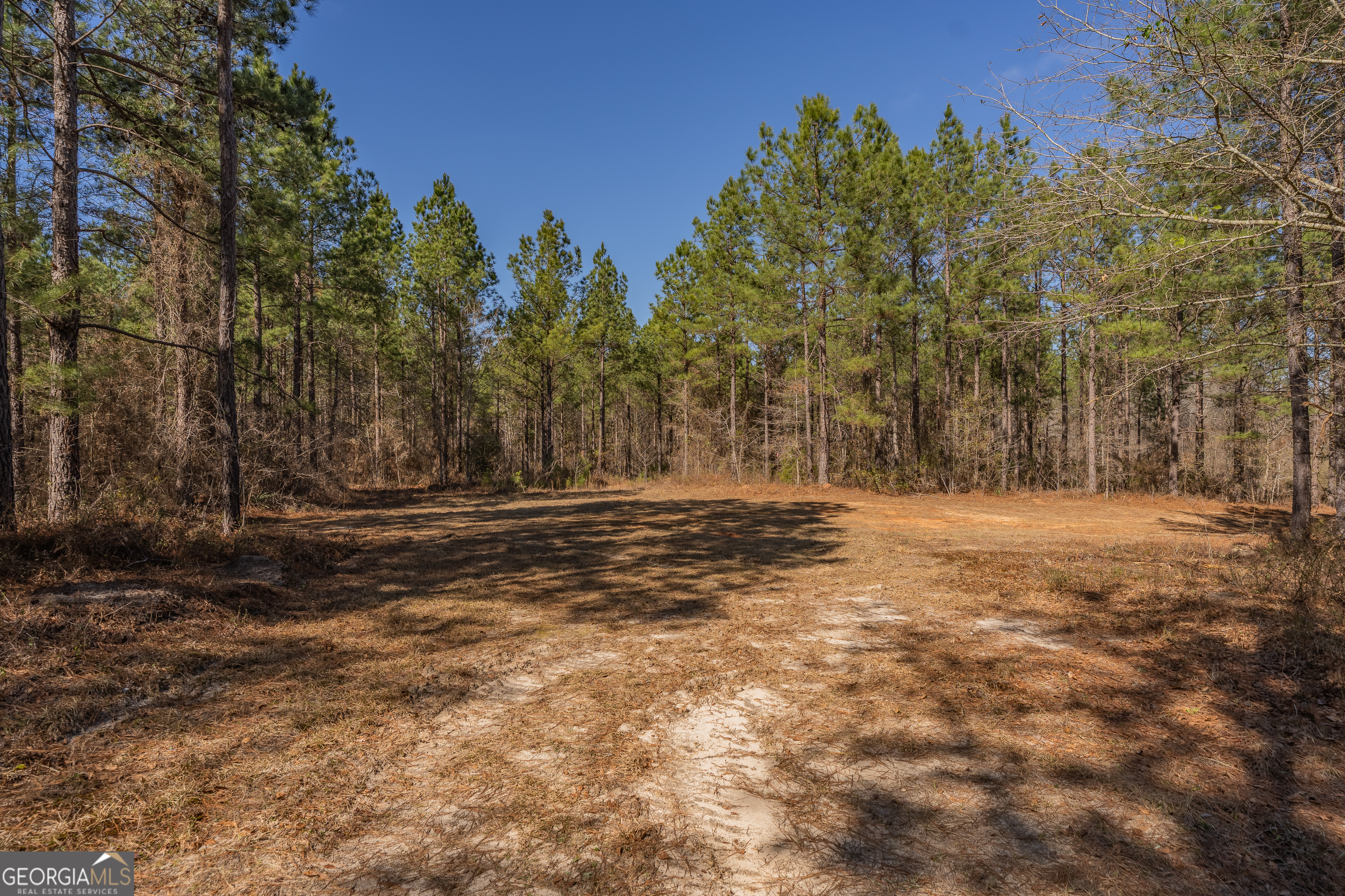 Lot 7 Golf Course Road Eastman, GA 31023 - Photo 31 of 47 a view of open space with trees