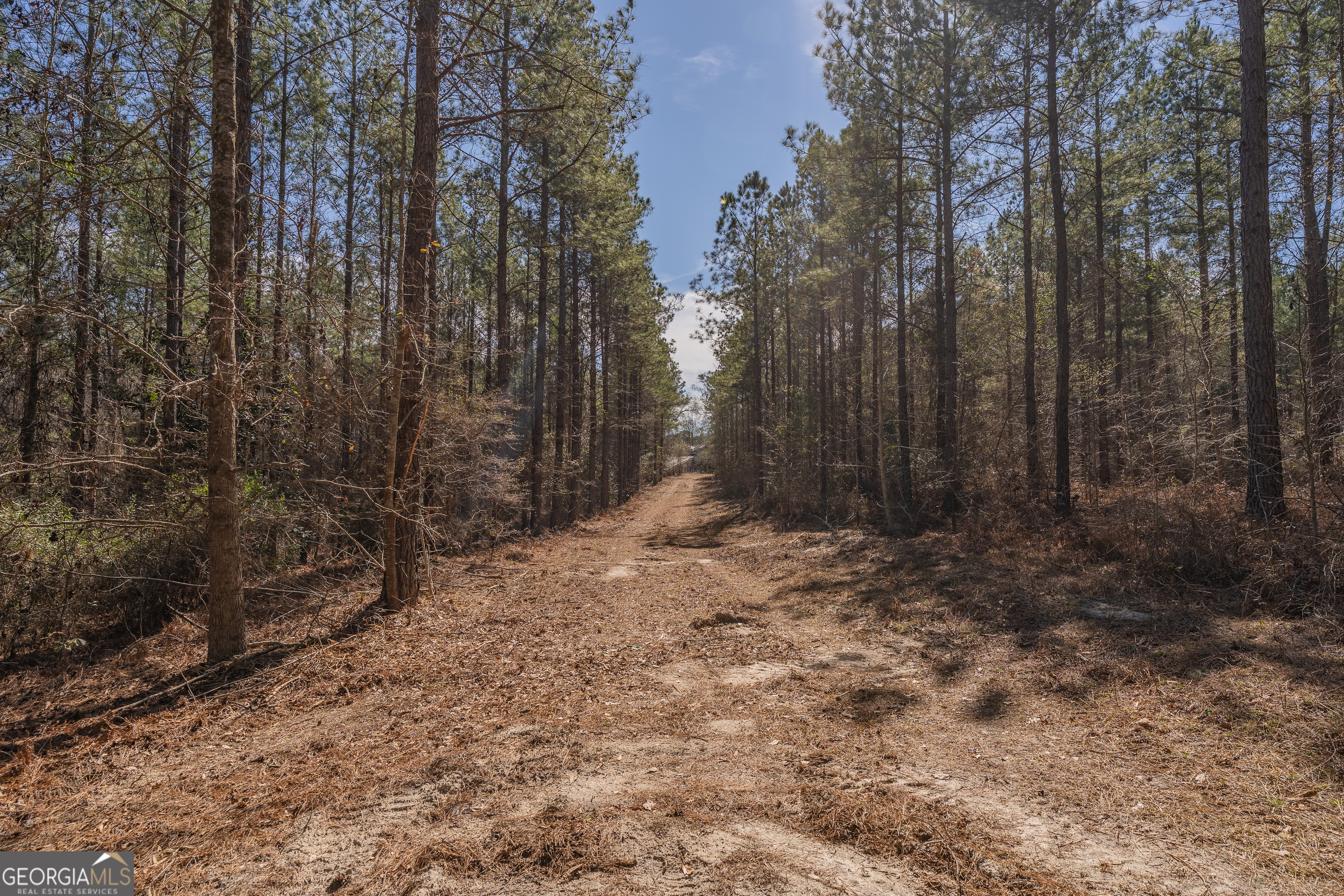 Lot 7 Golf Course Road Eastman, GA 31023 - Photo 32 of 47 a view of a yard with trees