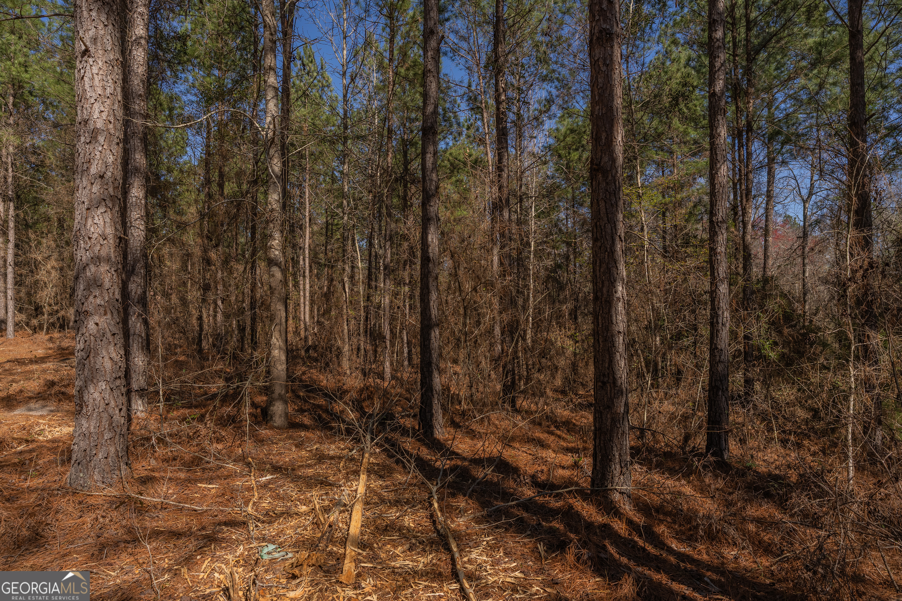 Lot 7 Golf Course Road Eastman, GA 31023 - Photo 33 of 47 a view of backyard with green space