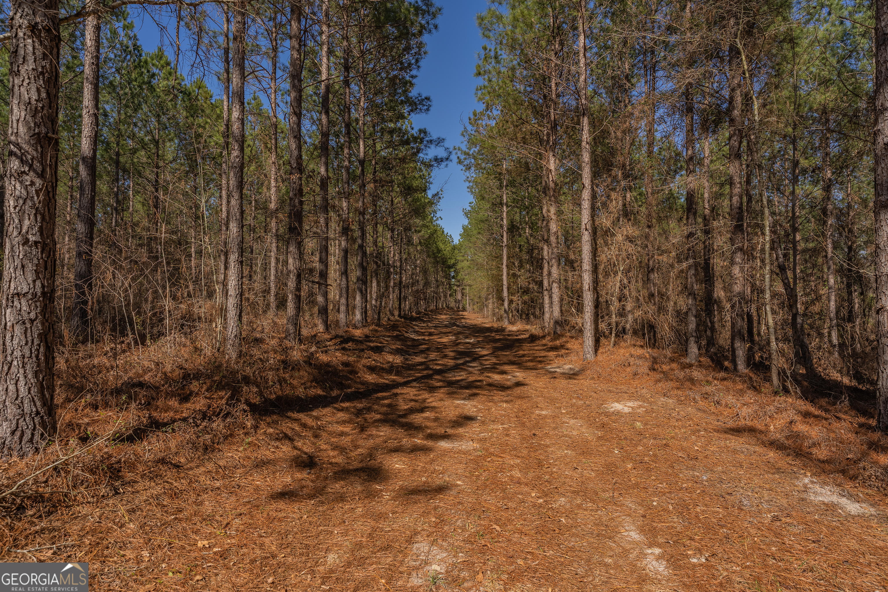 Lot 7 Golf Course Road Eastman, GA 31023 - Photo 34 of 47 a view of backyard with green space